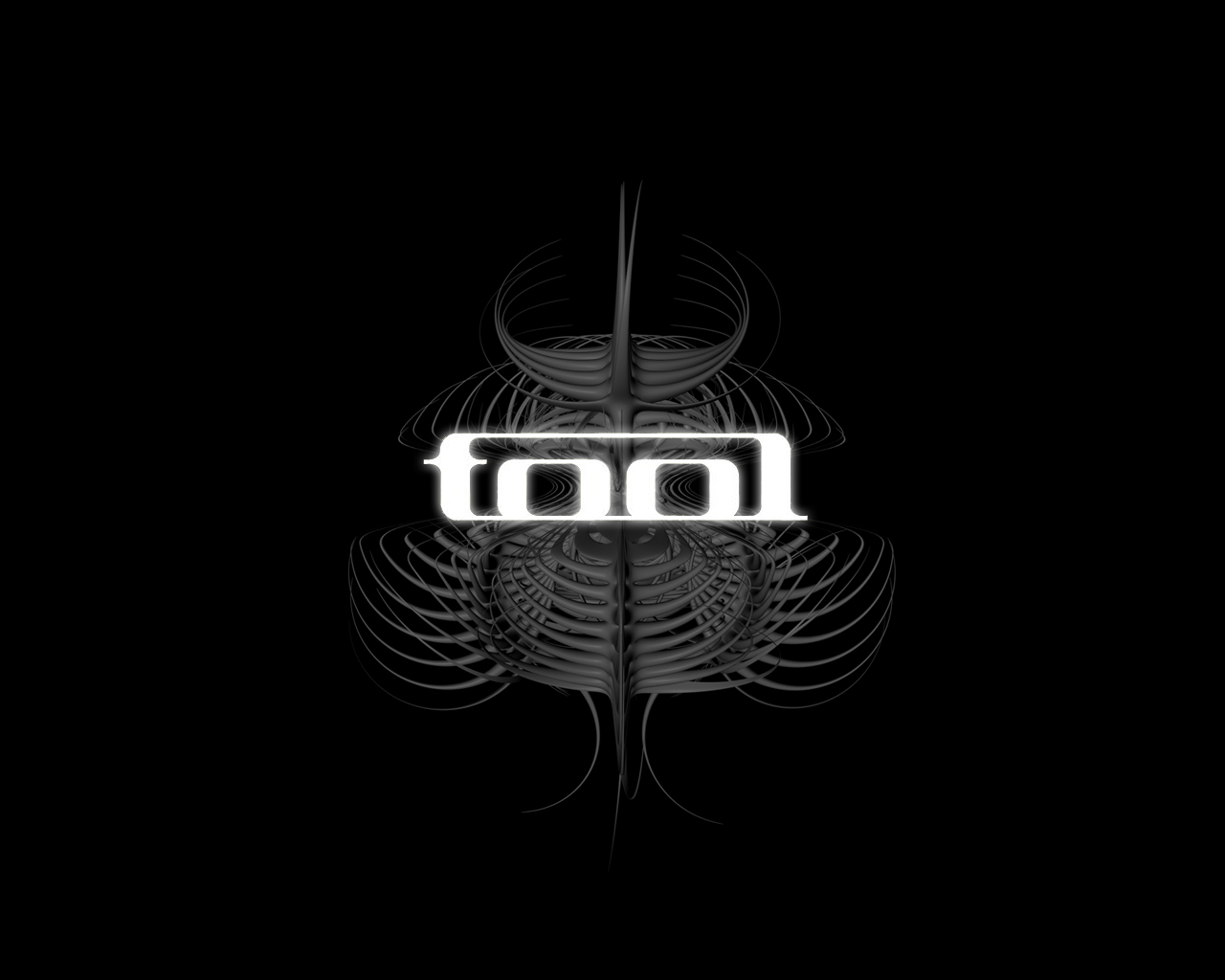 tool (music), music, tool HD wallpaper
