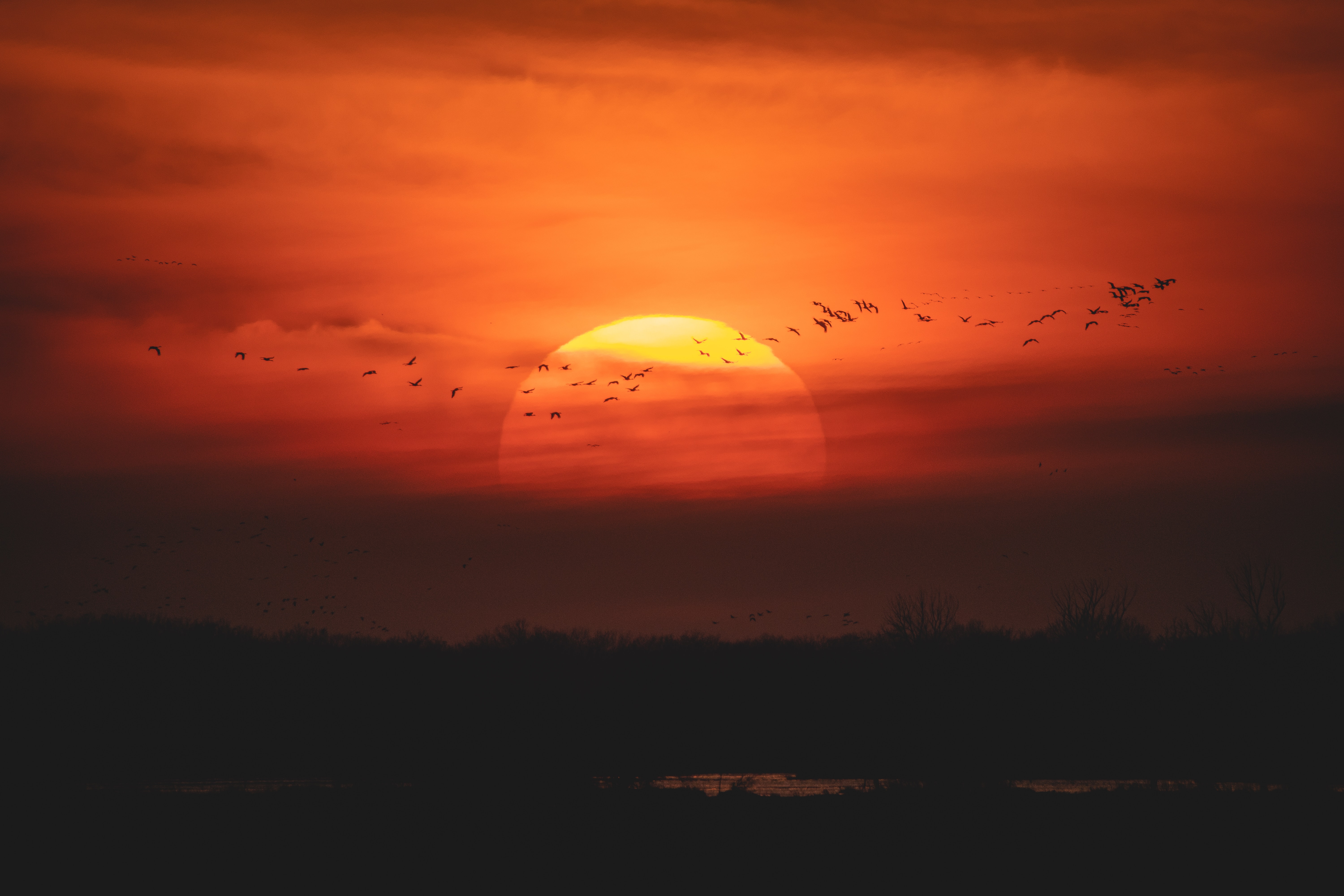 sun, dusk, birds, nature, sunset, twilight HD wallpaper