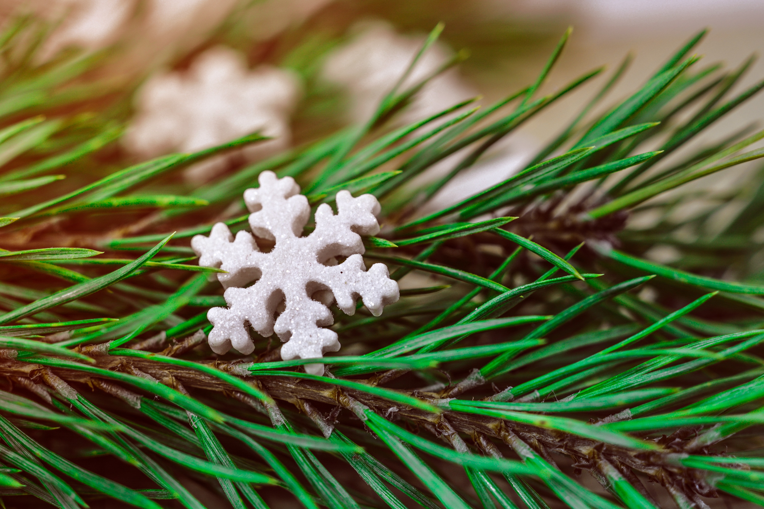 Download mobile wallpaper Snowflake, Spruce, Fir, Holidays, Christmas for free.