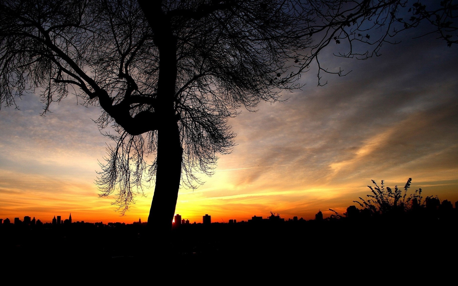 Download mobile wallpaper Sunset, Landscape, Trees for free.
