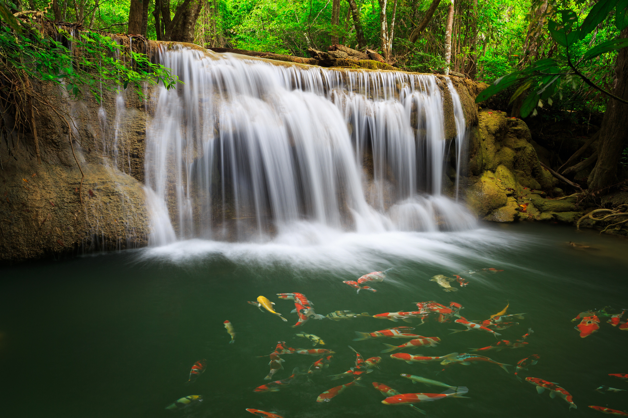 Красивые водопады с рыбами