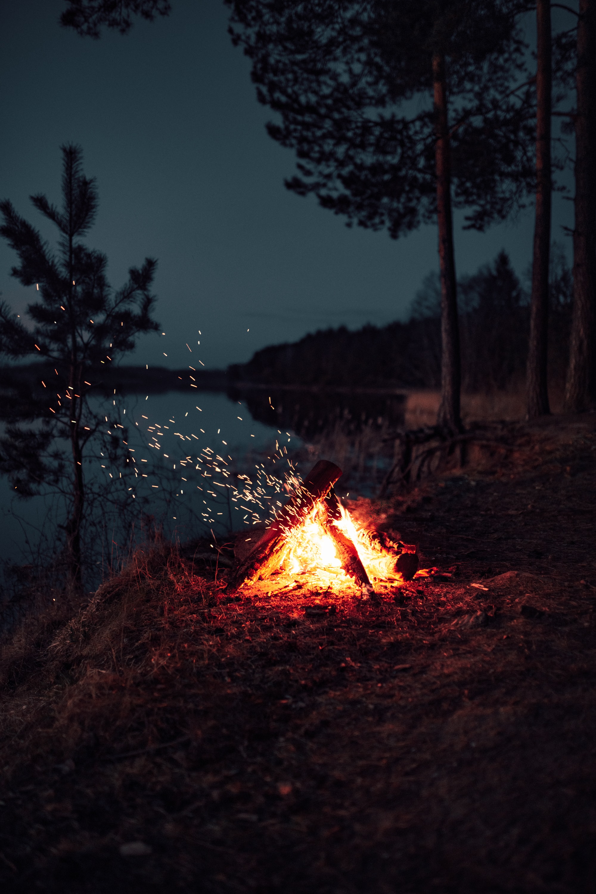 dark, bonfire, camping, sparks, night, campsite