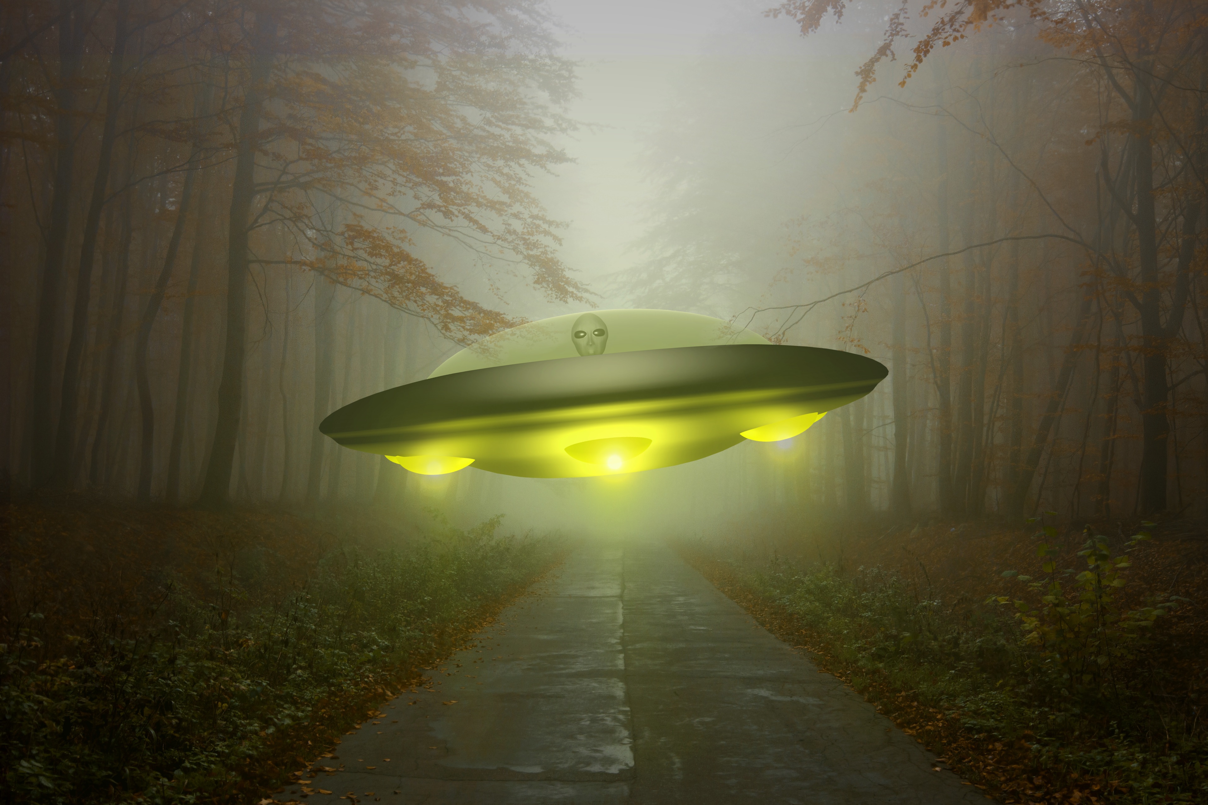 Download mobile wallpaper Alien, Forest, Sci Fi, Spaceship, Ufo for free.