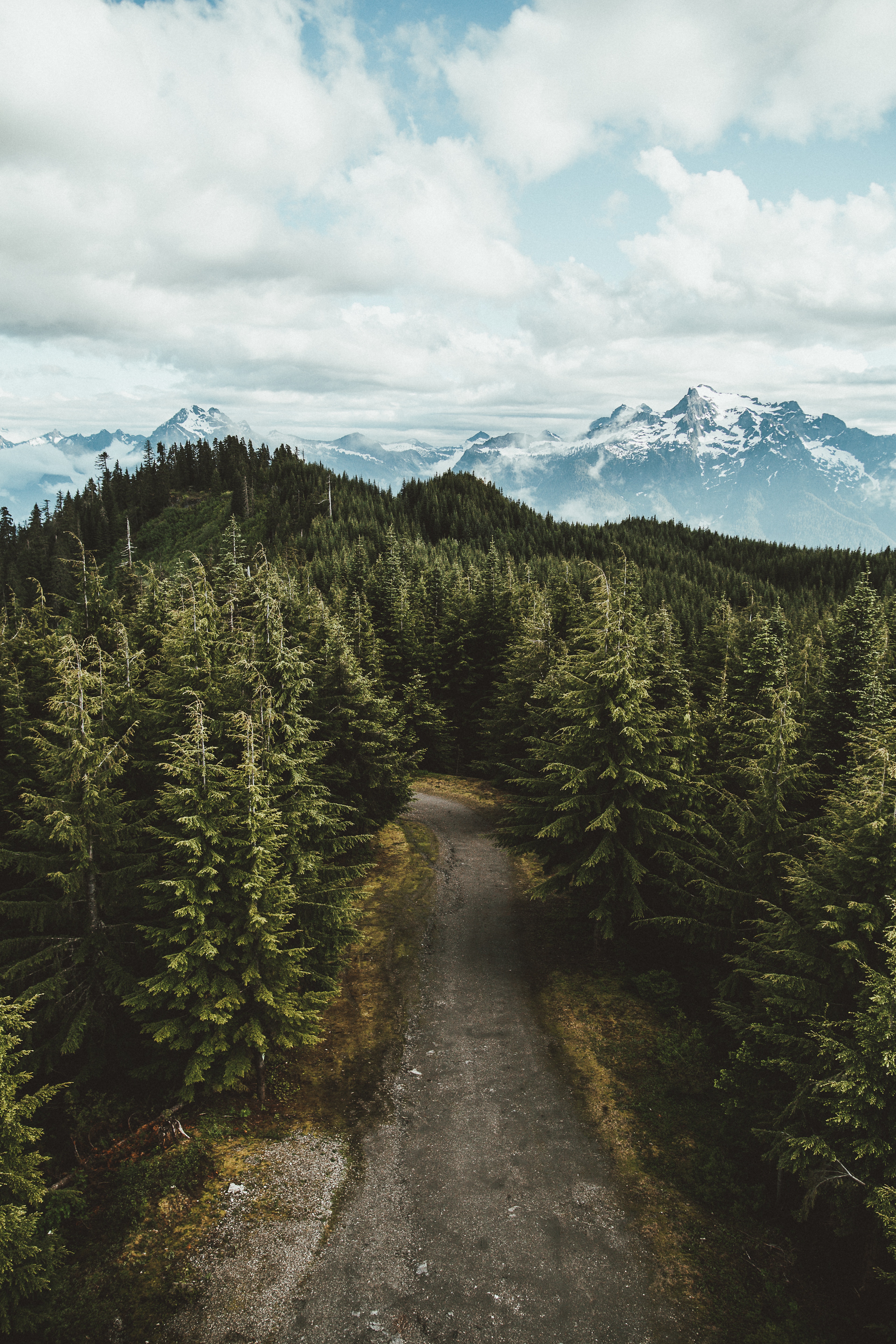 usa, united states, landscape, nature, trees, sky, mountains, view from above, road, darrington