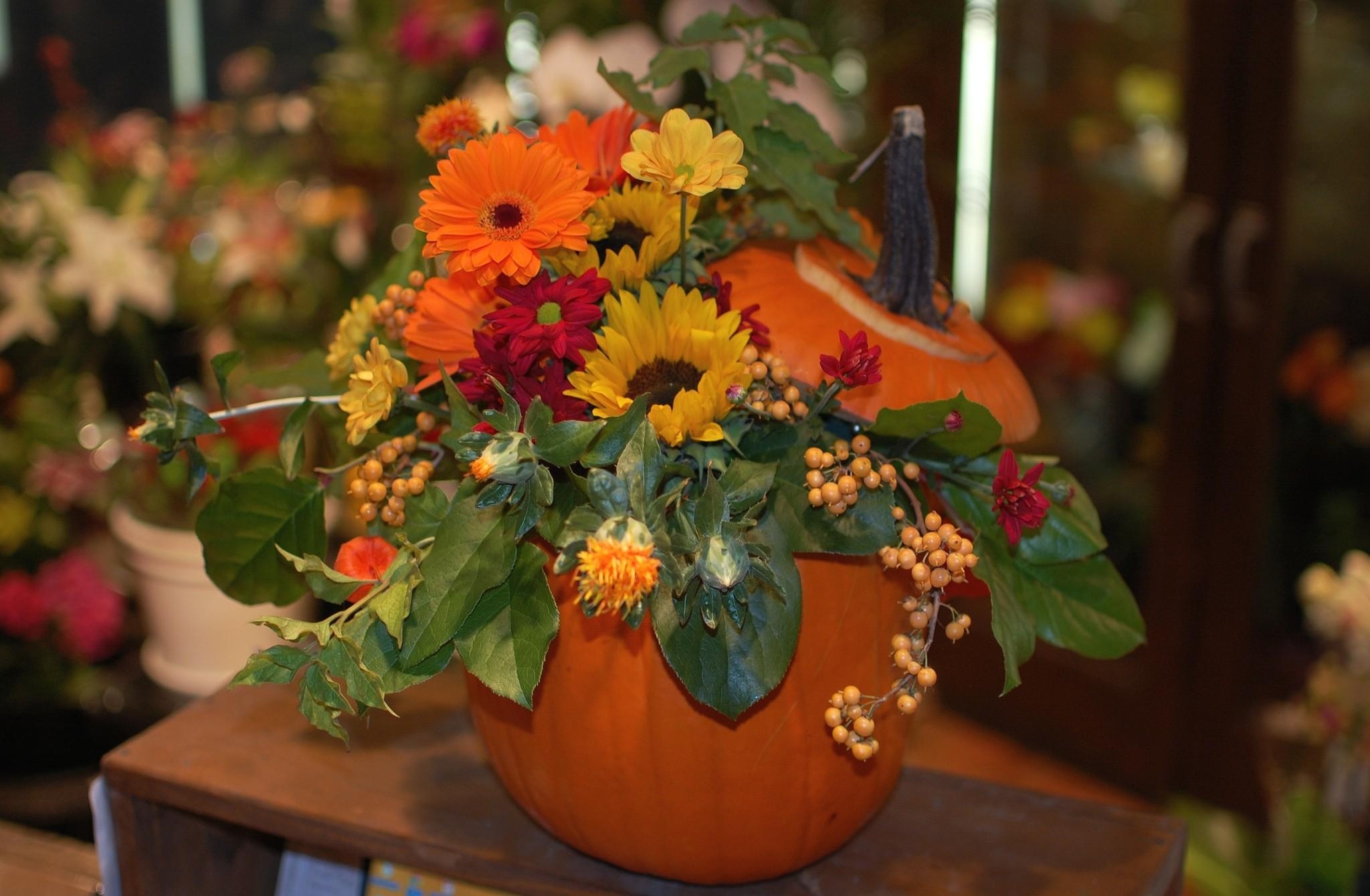 pumpkin, flowers, berries, gerberas, bouquet, composition, sunflower 32K