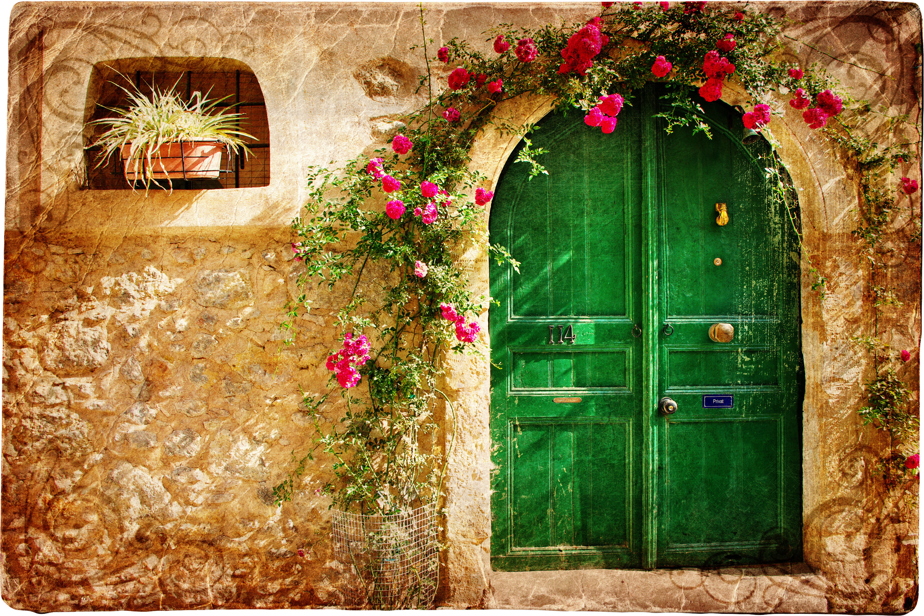 android pink flower, door, flower, house, facade, stone, man made