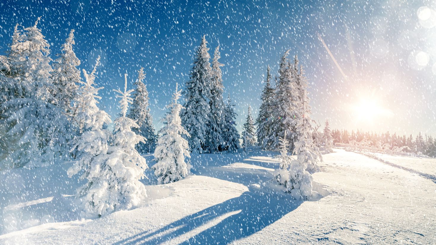 Snowfall. Винтер Сноу. Природа зима. Зима снег. Снежный пейзаж.