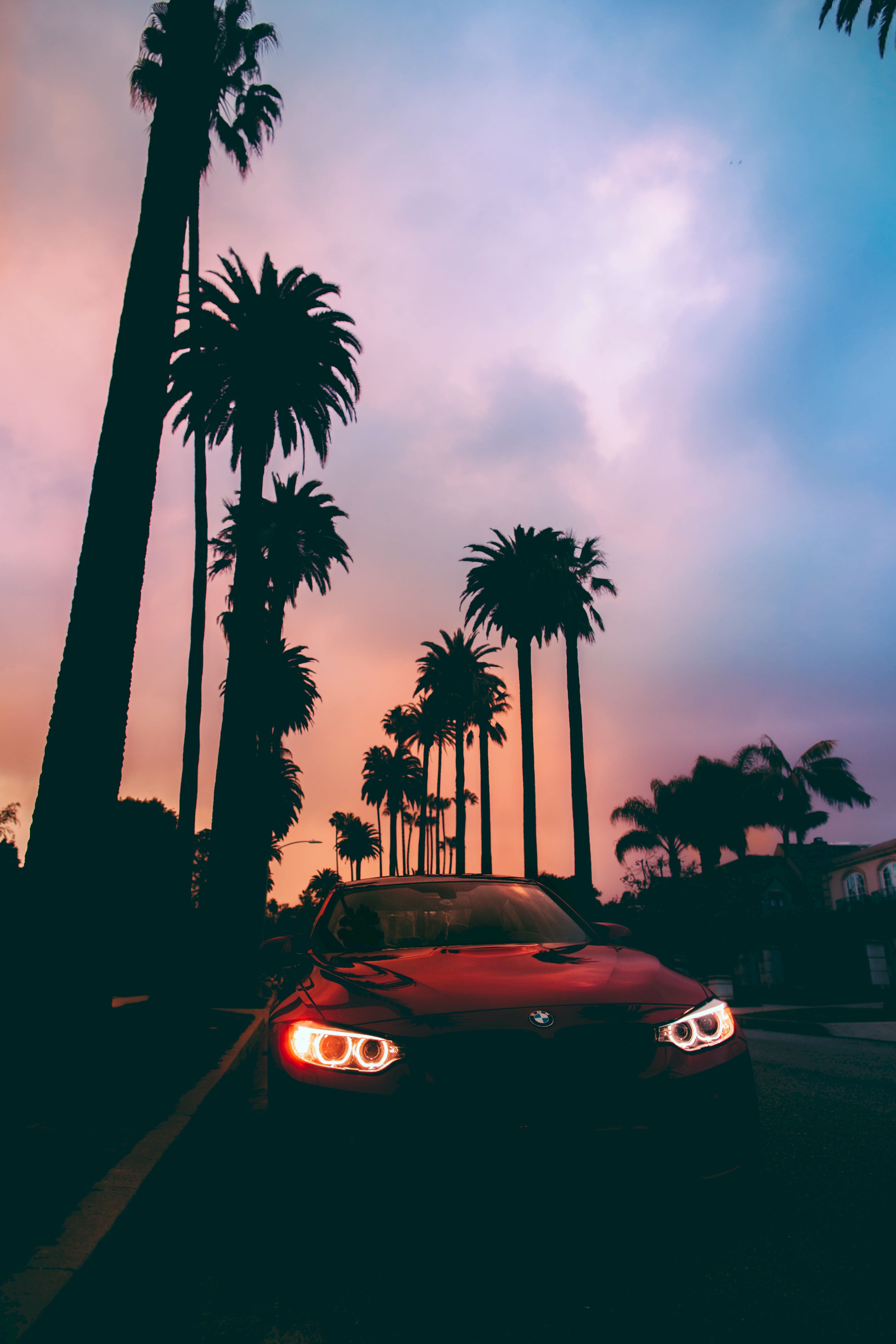 cars, bmw, front view, palms, bmw 3, sunset phone background