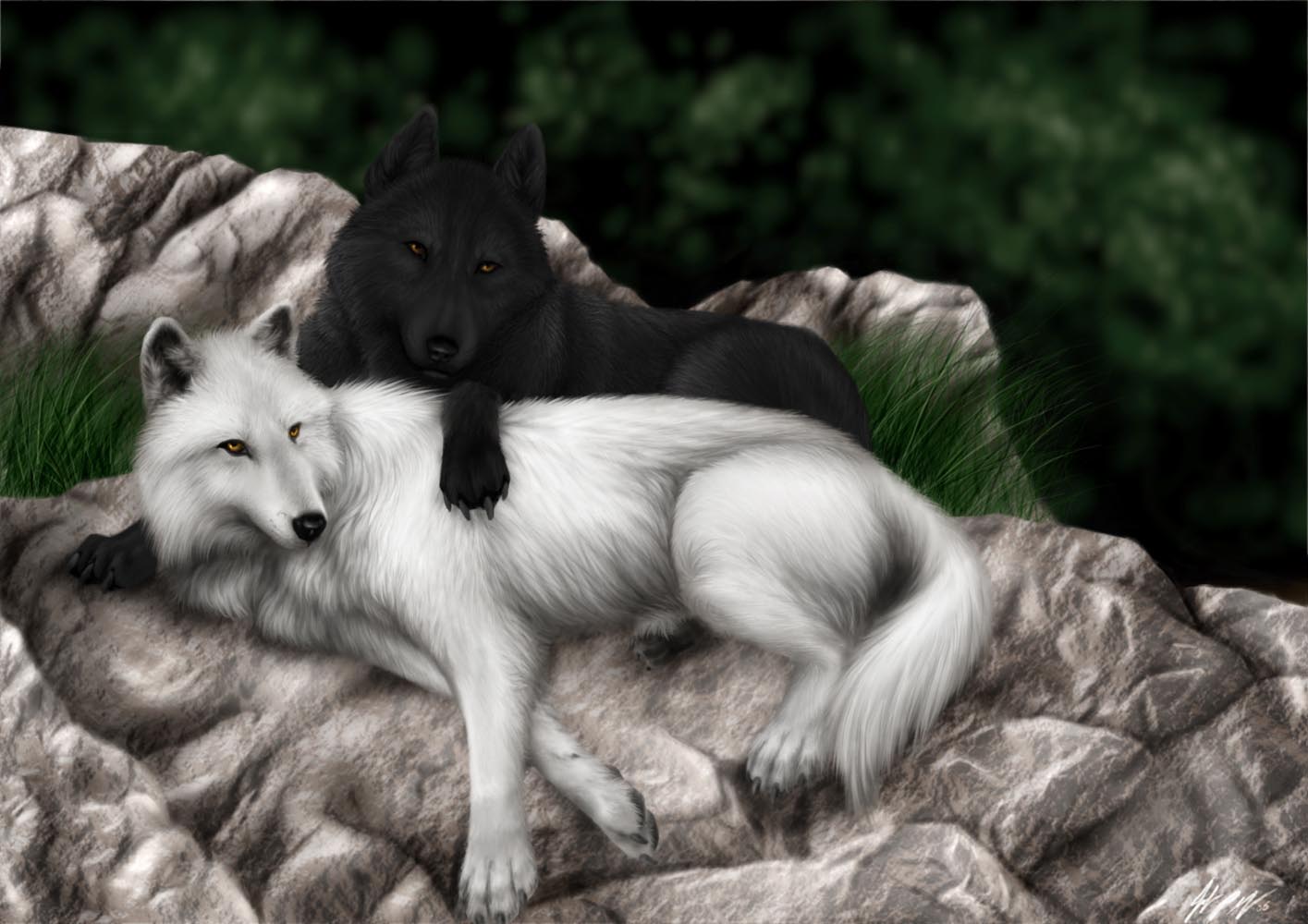 183135 Hintergrundbild herunterladen tiere, wolf, liebe, wolves - Bildschirmschoner und Bilder kostenlos