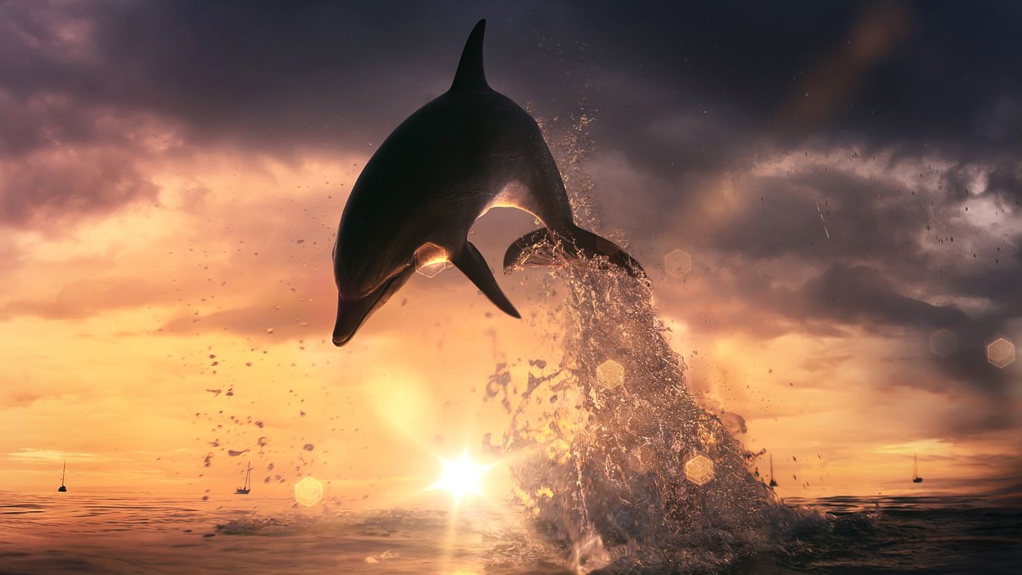 Слушать океан дельфин