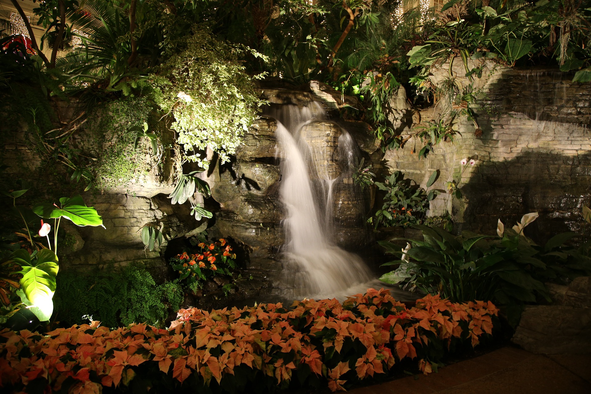 HD wallpaper man made, garden, flower, plant, poinsettia, waterfall