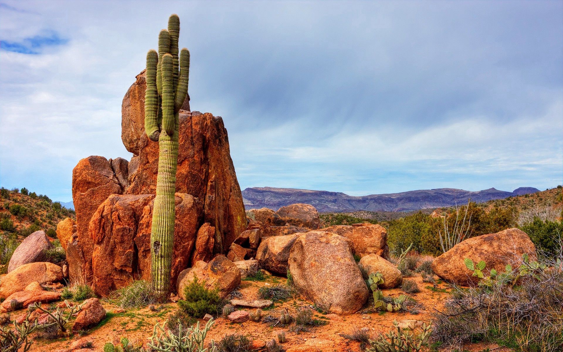 Laden Sie das Natur, Stones, Sky, Mountains, Kaktus-Bild kostenlos auf Ihren PC-Desktop herunter