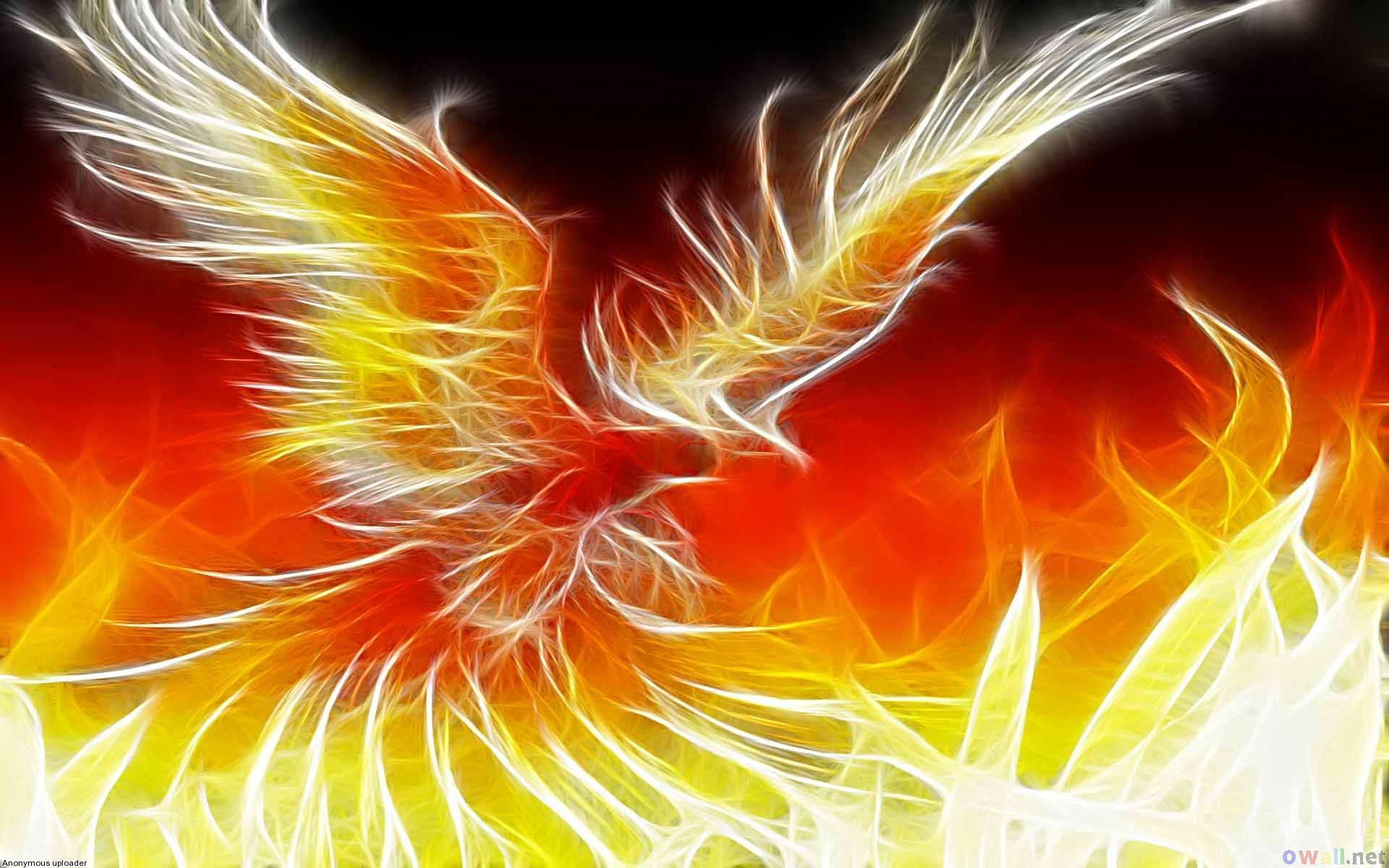 phoenix, fantasy, fantasy animals HD wallpaper