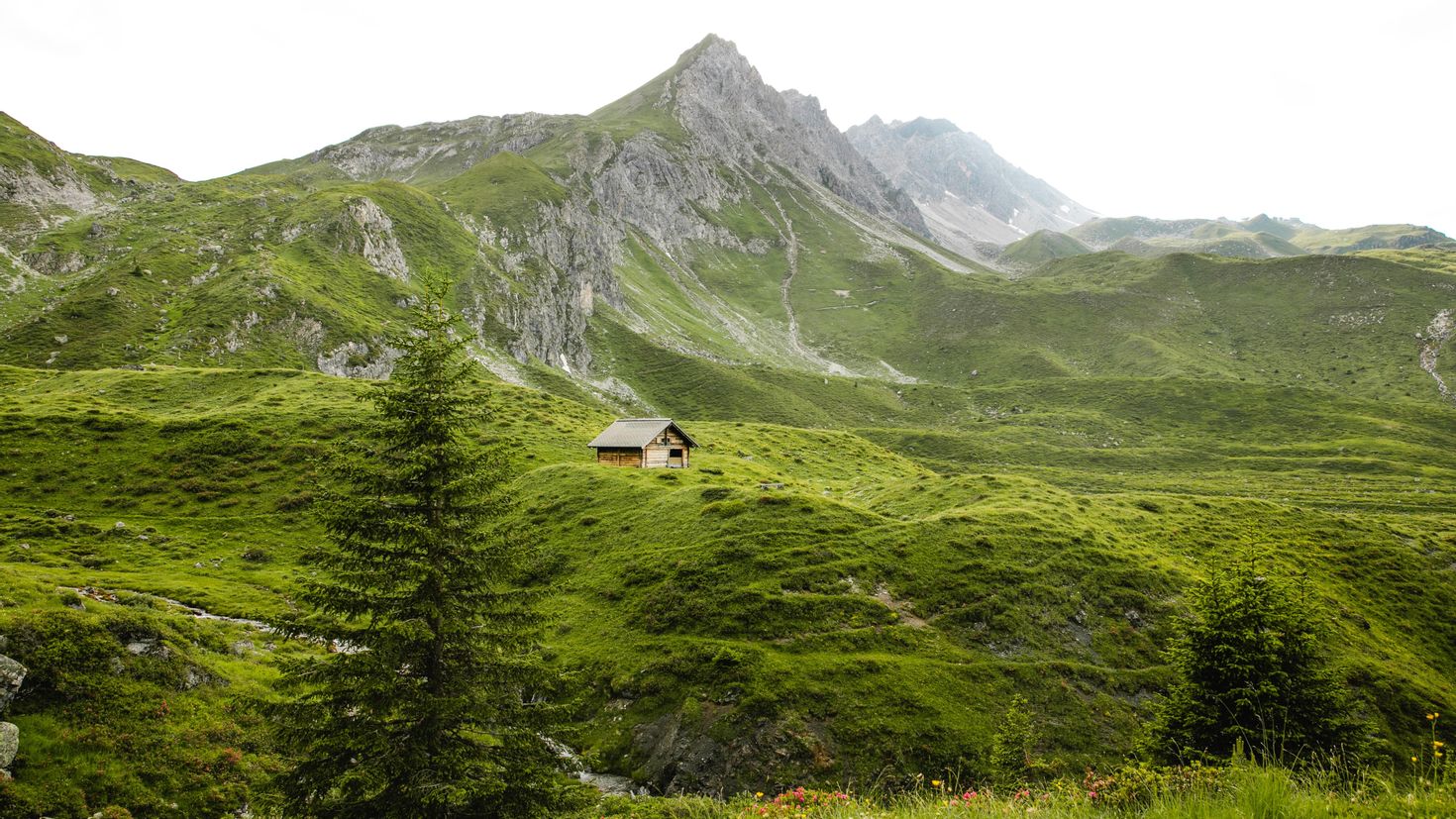 Small mountain. Зеленые холмы горный Алтай. Зеленые холмы Швейцарии. Грин Маунтин гора. Корен гор.холм.горный.гористый.