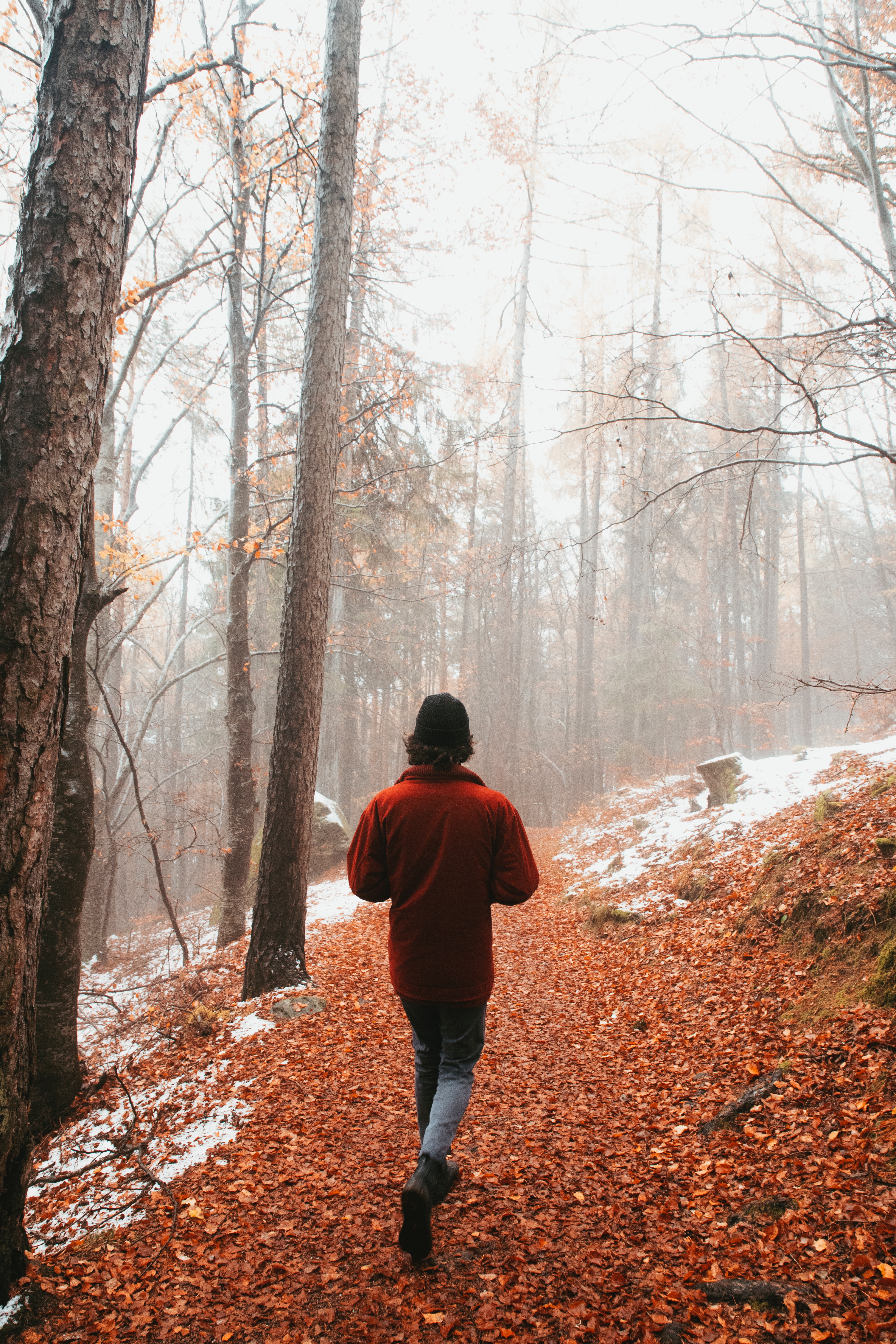 Одиноко гуляющий. Прогулка в одиночестве. Одиночество в лесу. Человек в лесу. Прогулка в лесу.