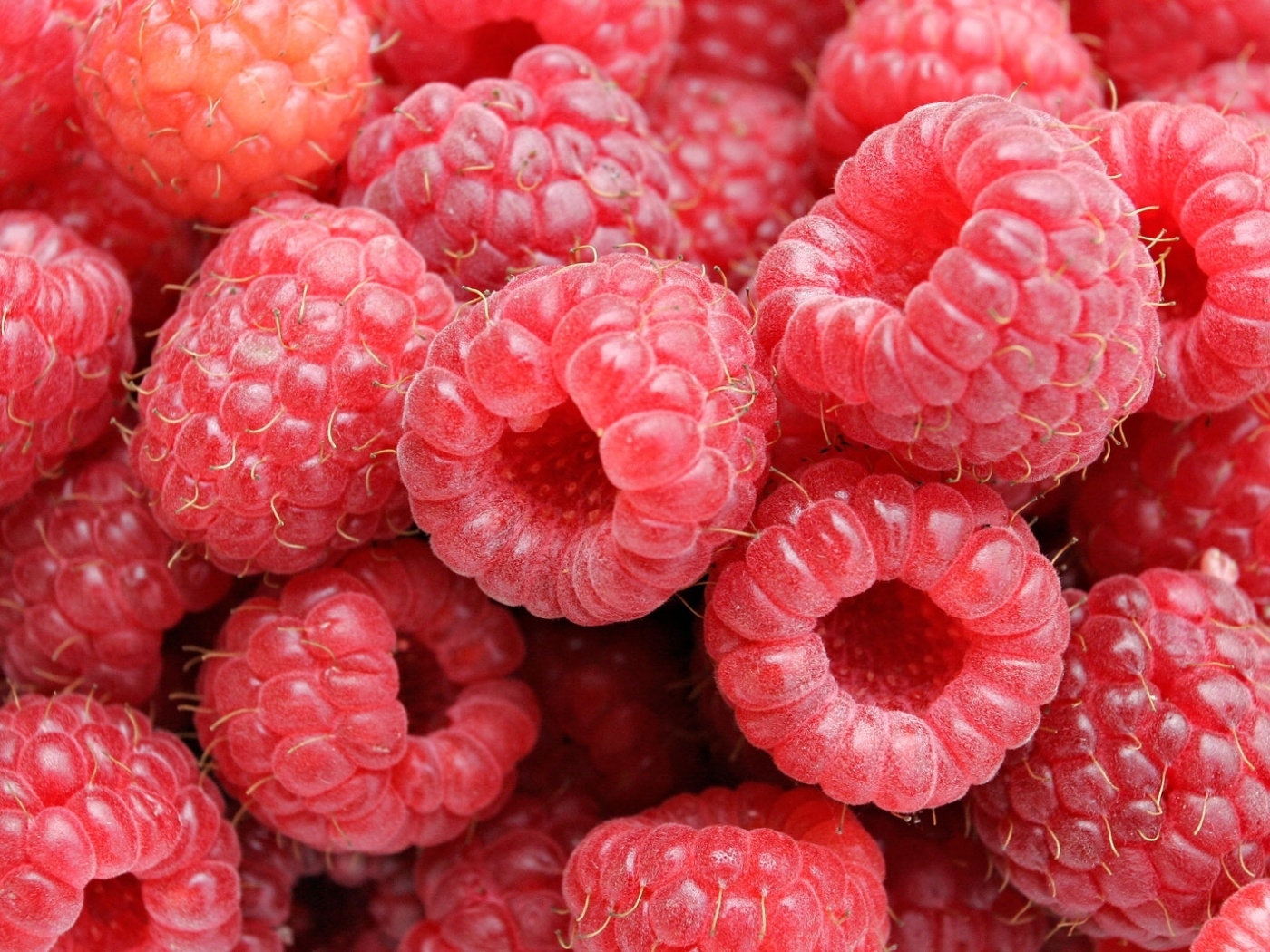 Download mobile wallpaper Raspberry, Food, Fruits for free.