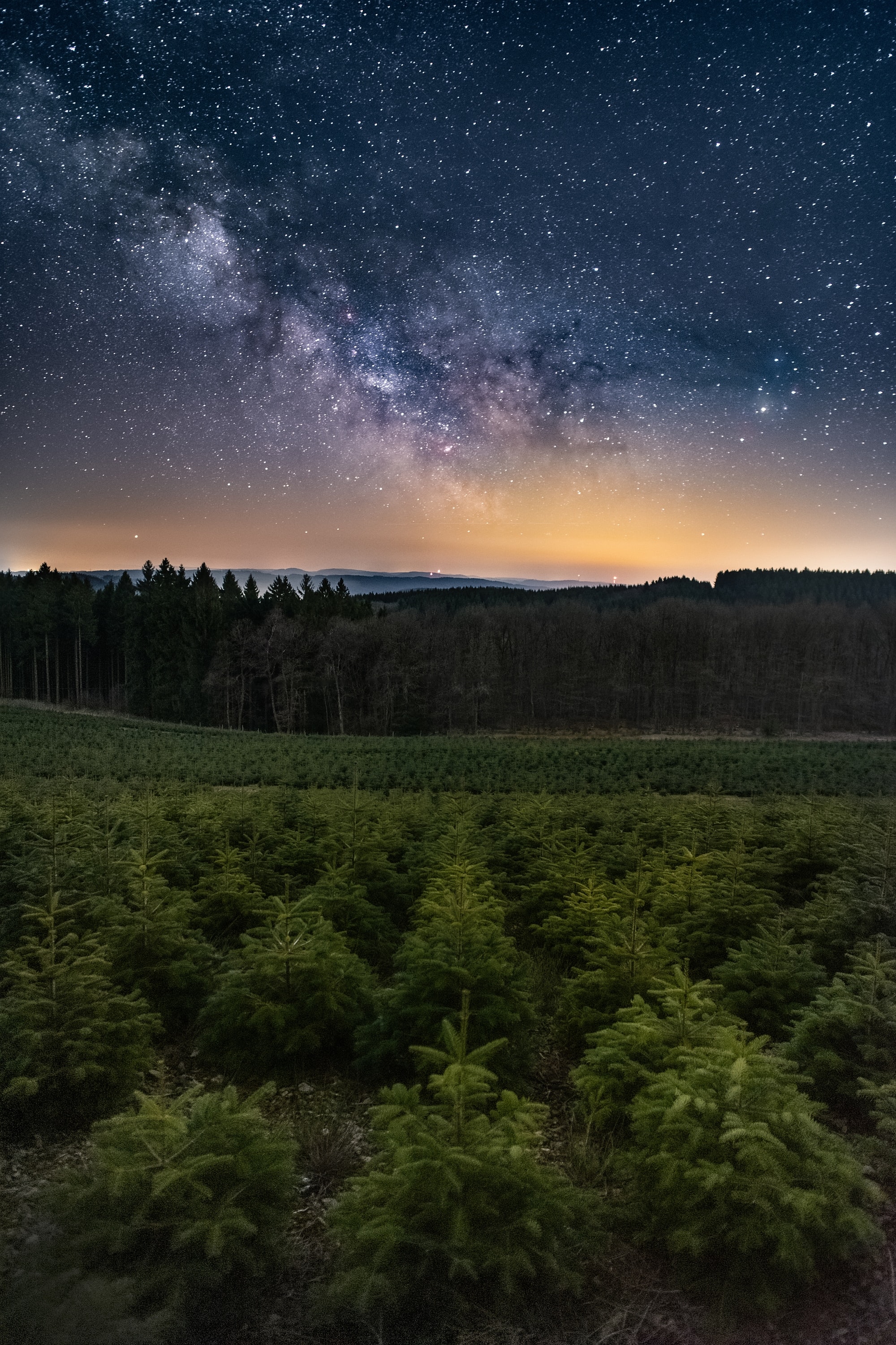 Скачать картинку Звёздное Небо, Лес, Деревья, Природа в телефон бесплатно.