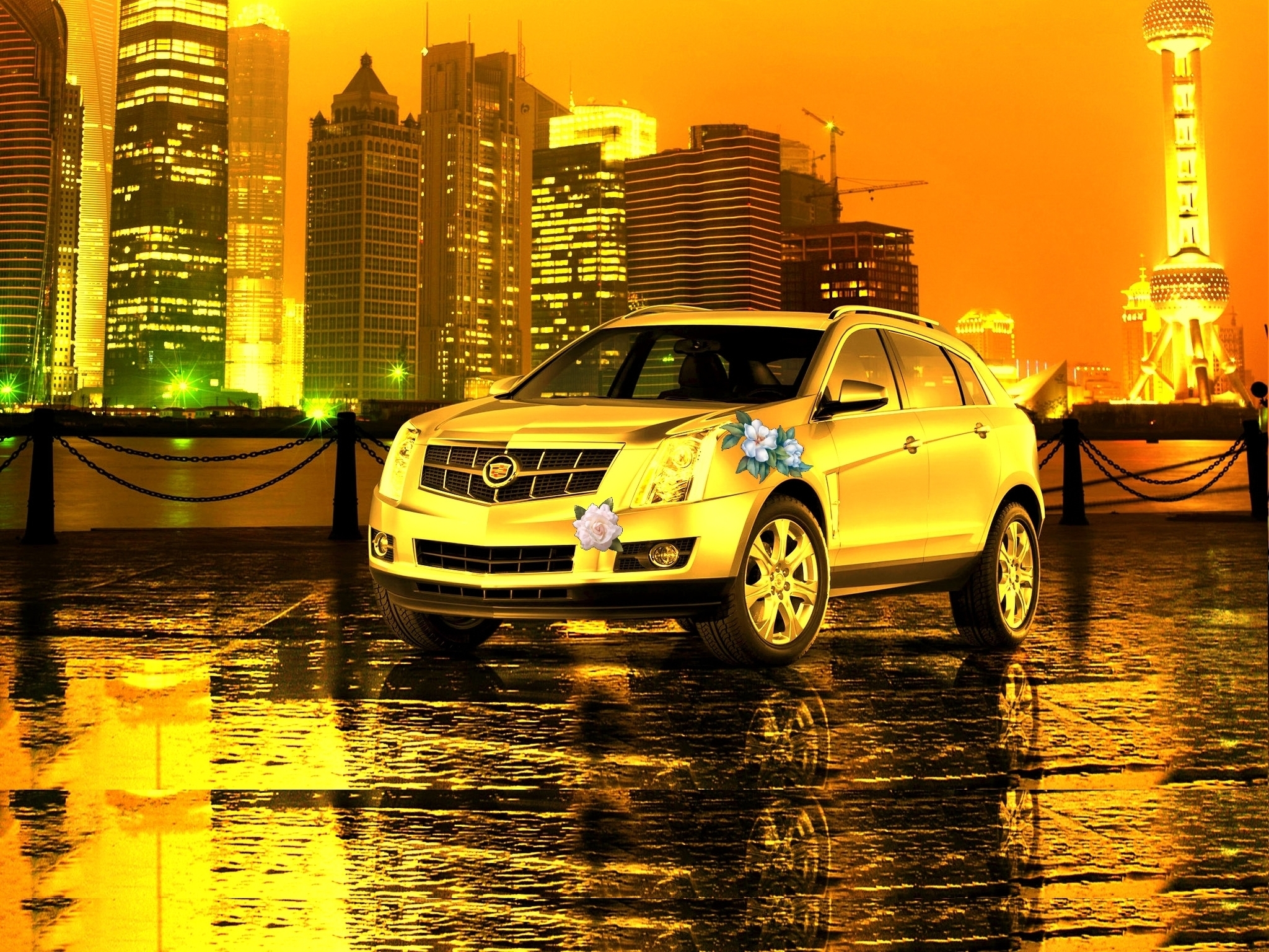 Laden Sie das Transport, Cadillac, Auto-Bild kostenlos auf Ihren PC-Desktop herunter
