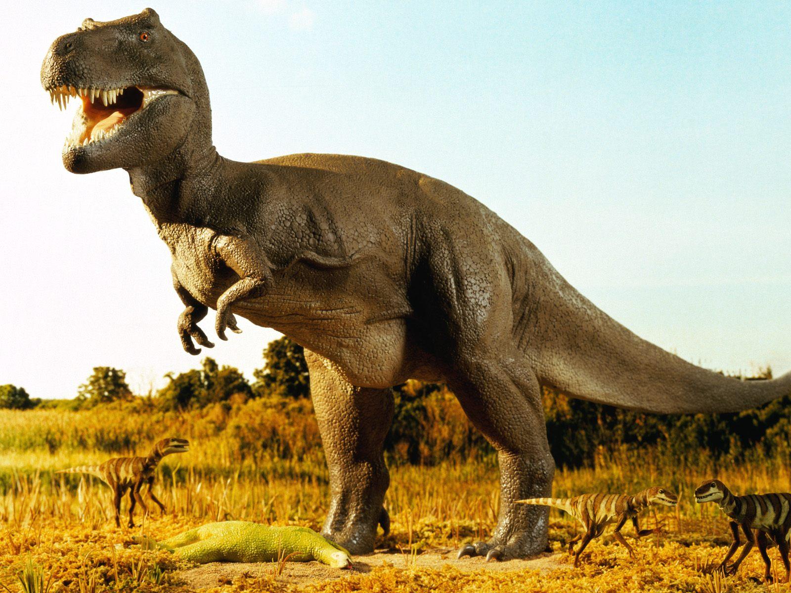 Динозавры хищники Тиранозавр