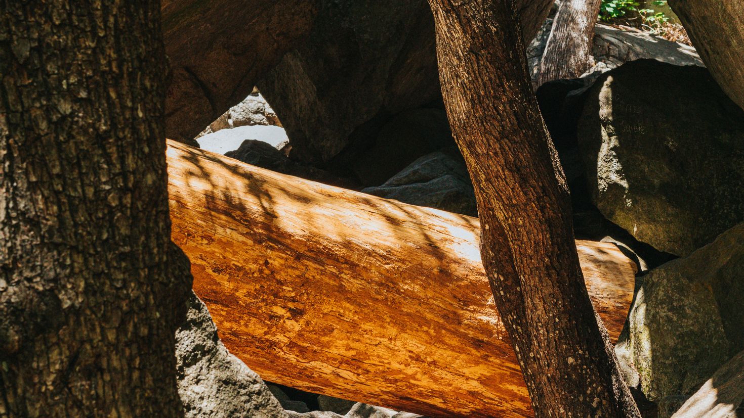 Wood rocky. Бревно и камень. Бревна валуны. Лес бревно камни. Обои деревянно каменные.