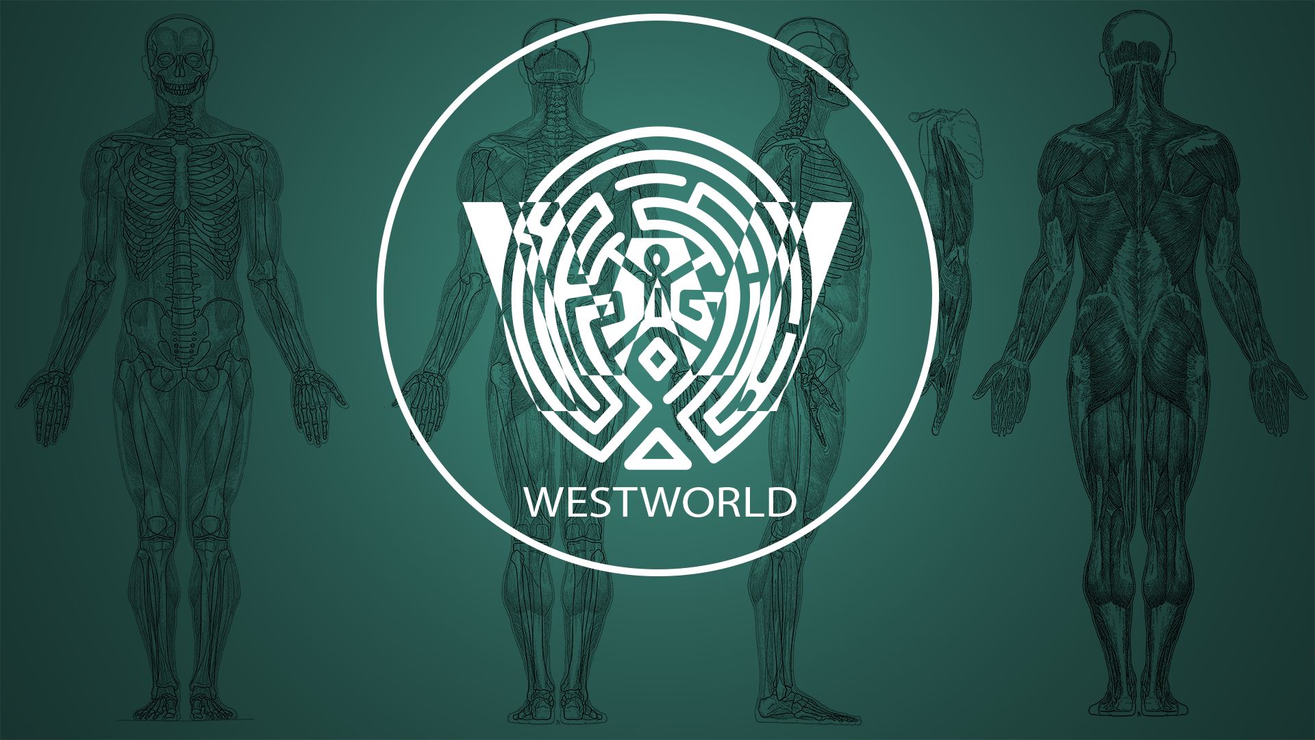 Westworld Wallpapers 58 images inside