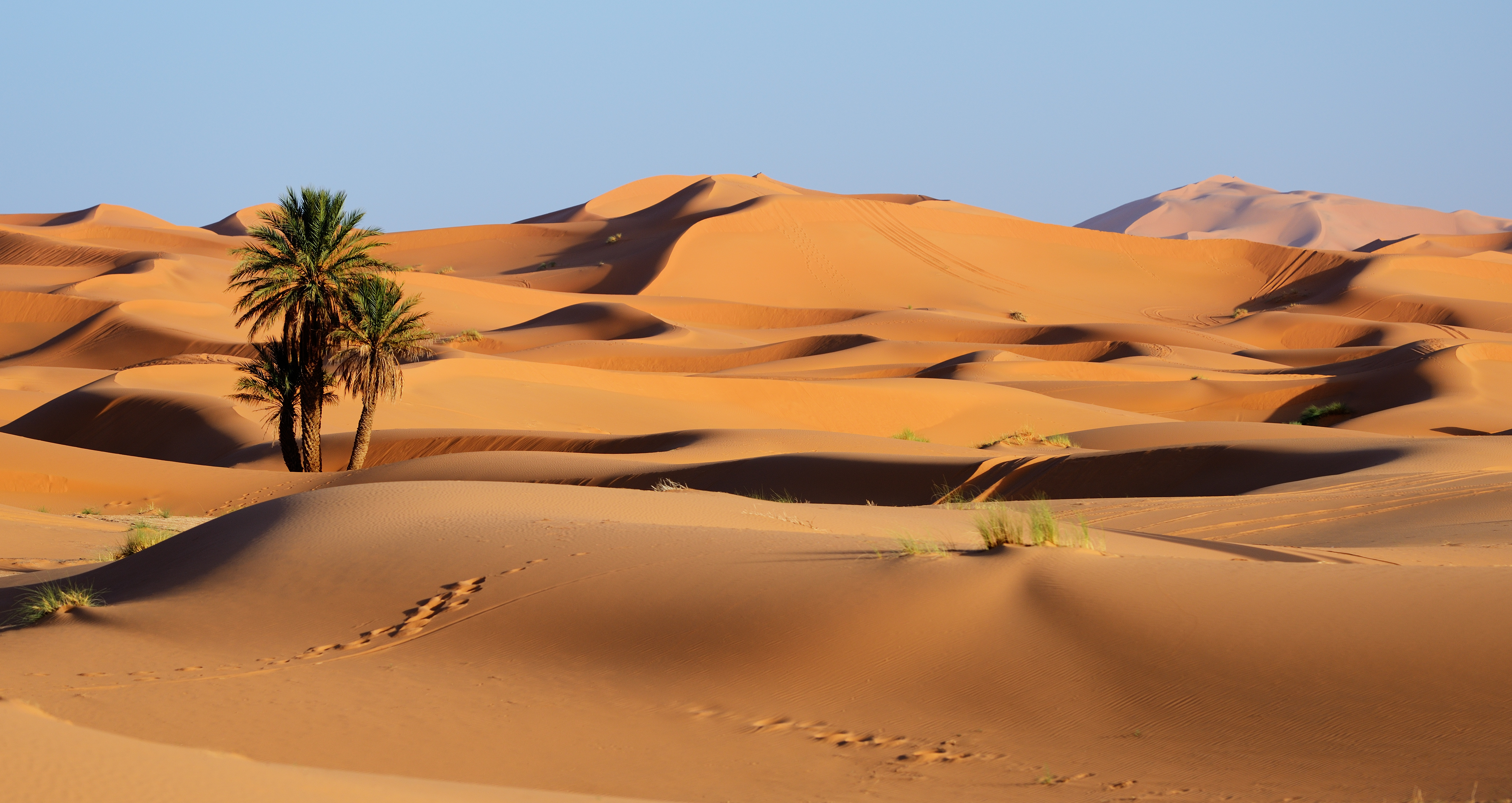 984989壁紙のダウンロード地球, 荒野, 砂丘, モロッコ, 自然, 砂-スクリーンセーバーと写真を無料で