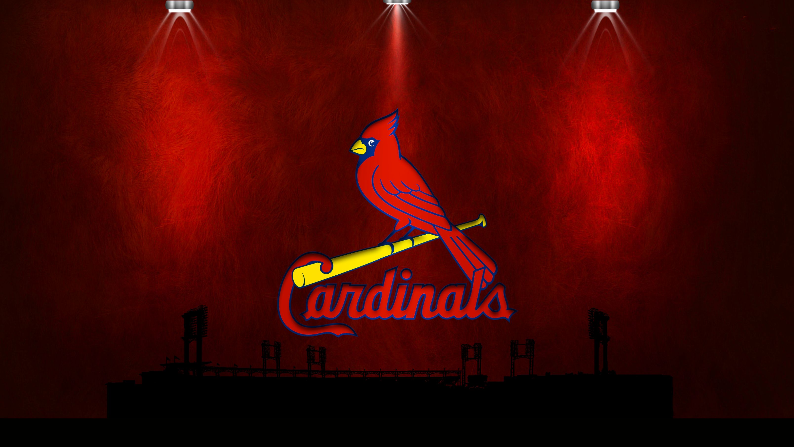 Download Cool Baseball St Louis Cardinals Team Wallpaper  Wallpaperscom