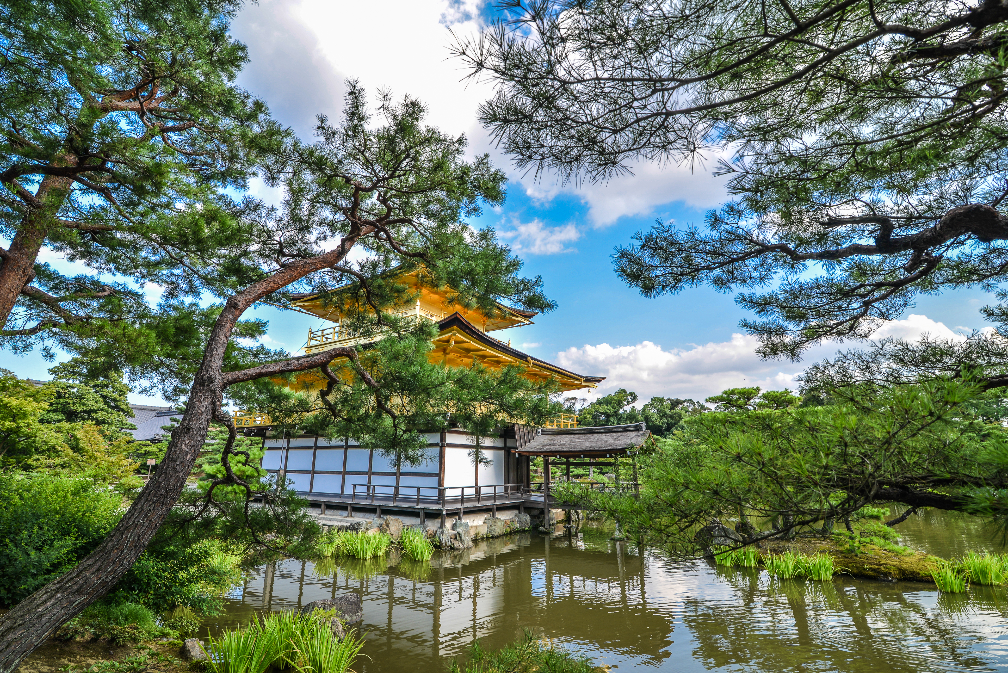 pond, japan, religious, kinkaku ji, kyoto, temples iphone wallpaper