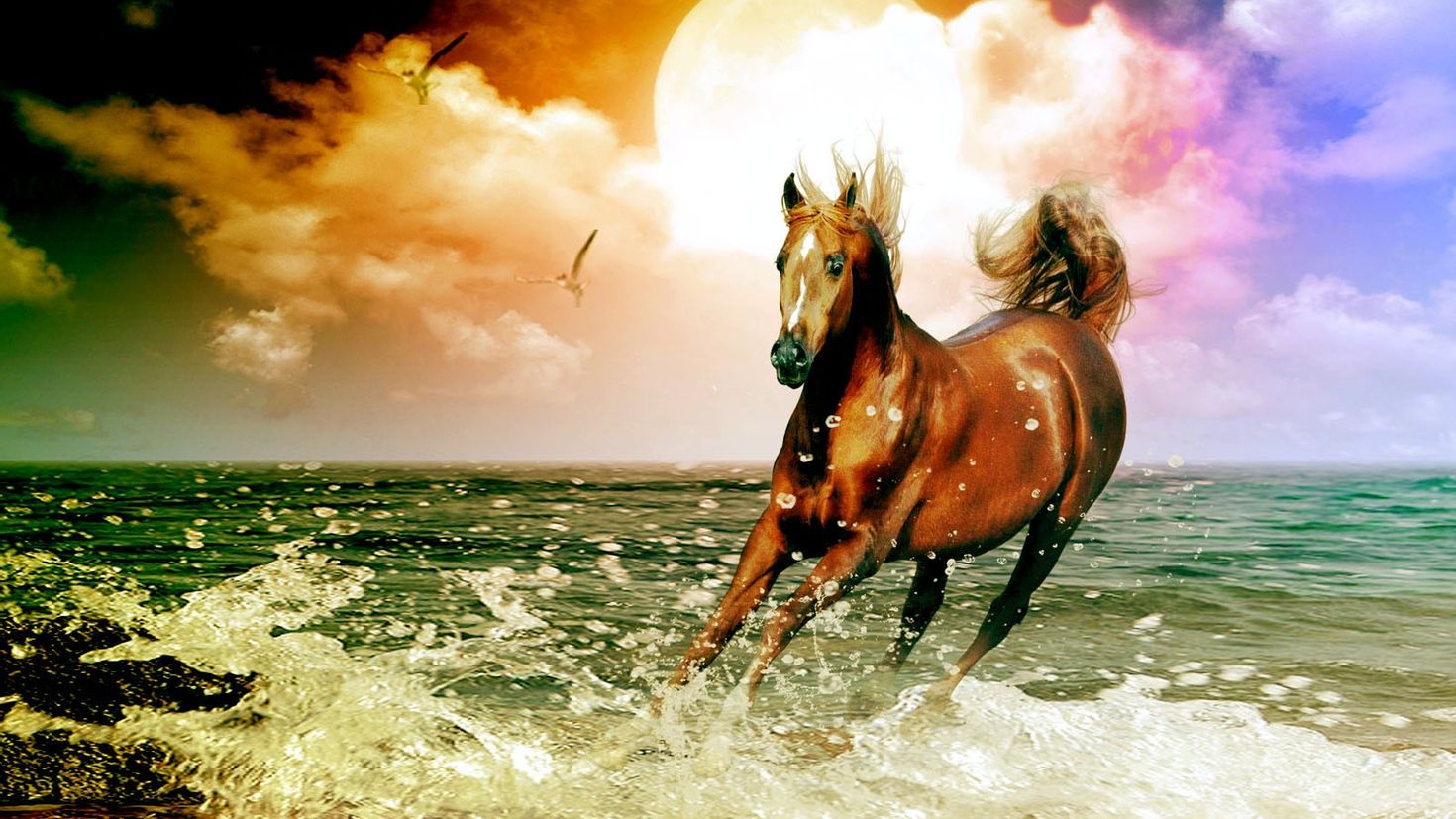 Лошадь красивые слова. Красивые лошади. Картинки на рабочий стол лошади. Лошадь бежит. Лошадь на фоне моря.