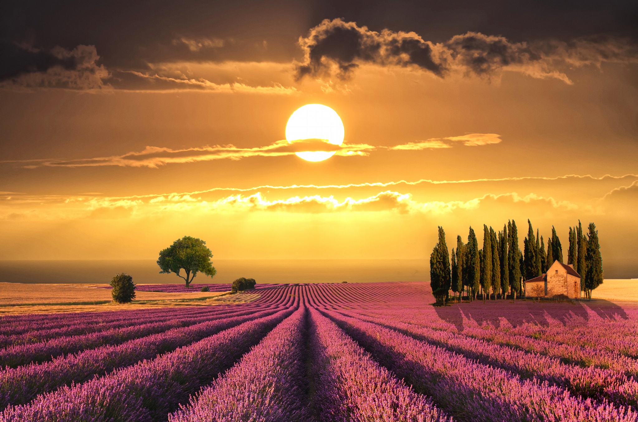 Солнце Италии