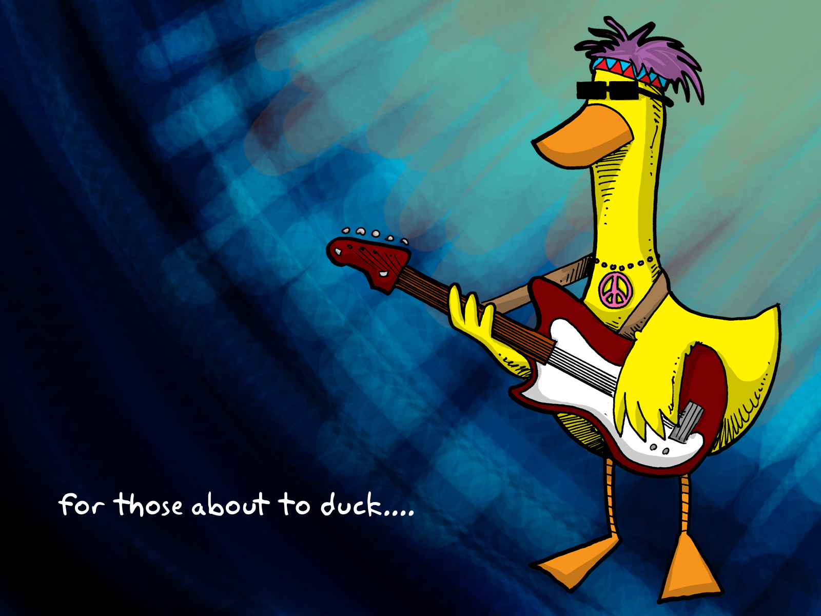 guitar, music, duck