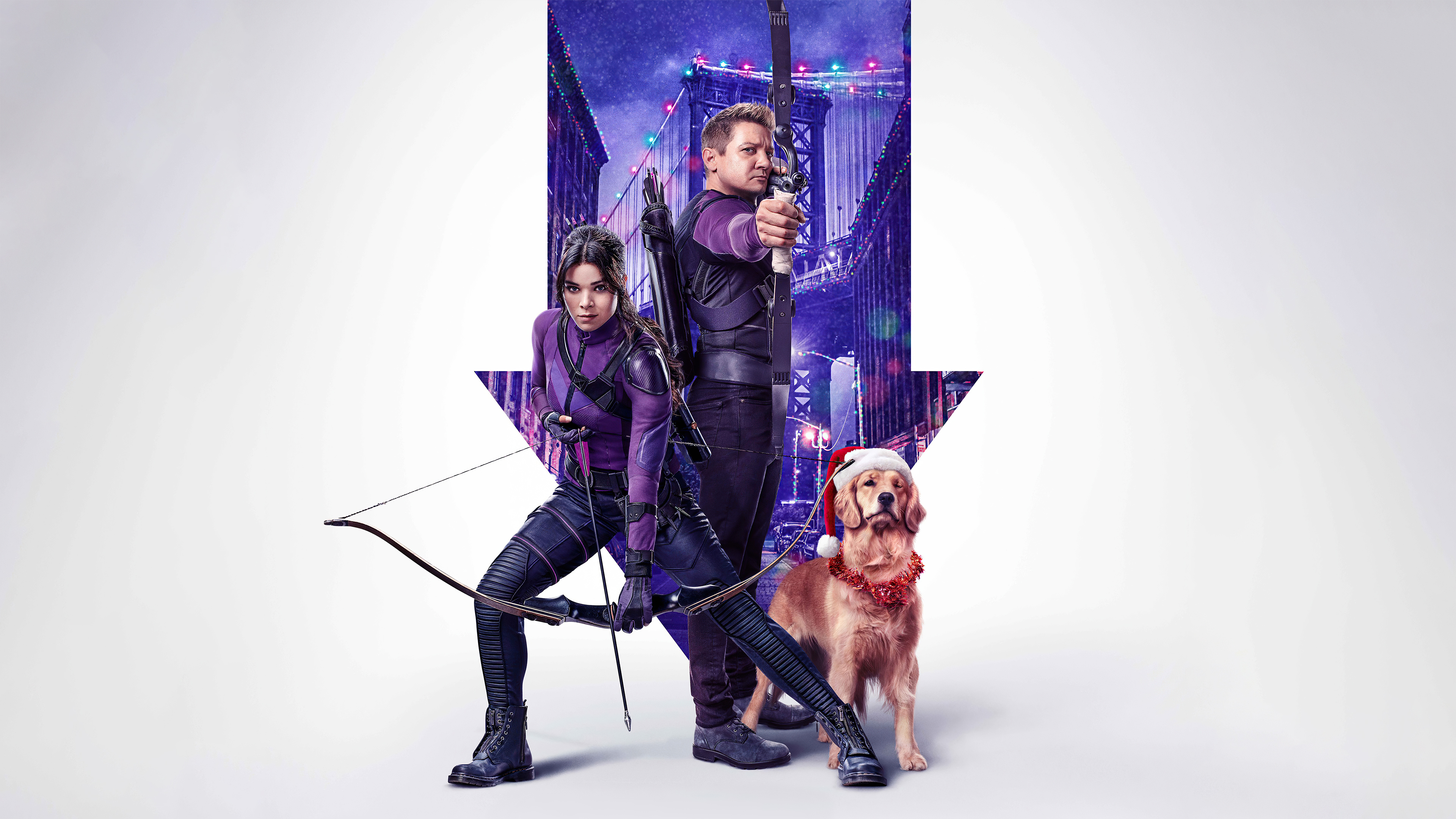 kate bishop, clint barton, tv show, hawkeye, hailee steinfeld, jeremy renner, lucky the pizza dog