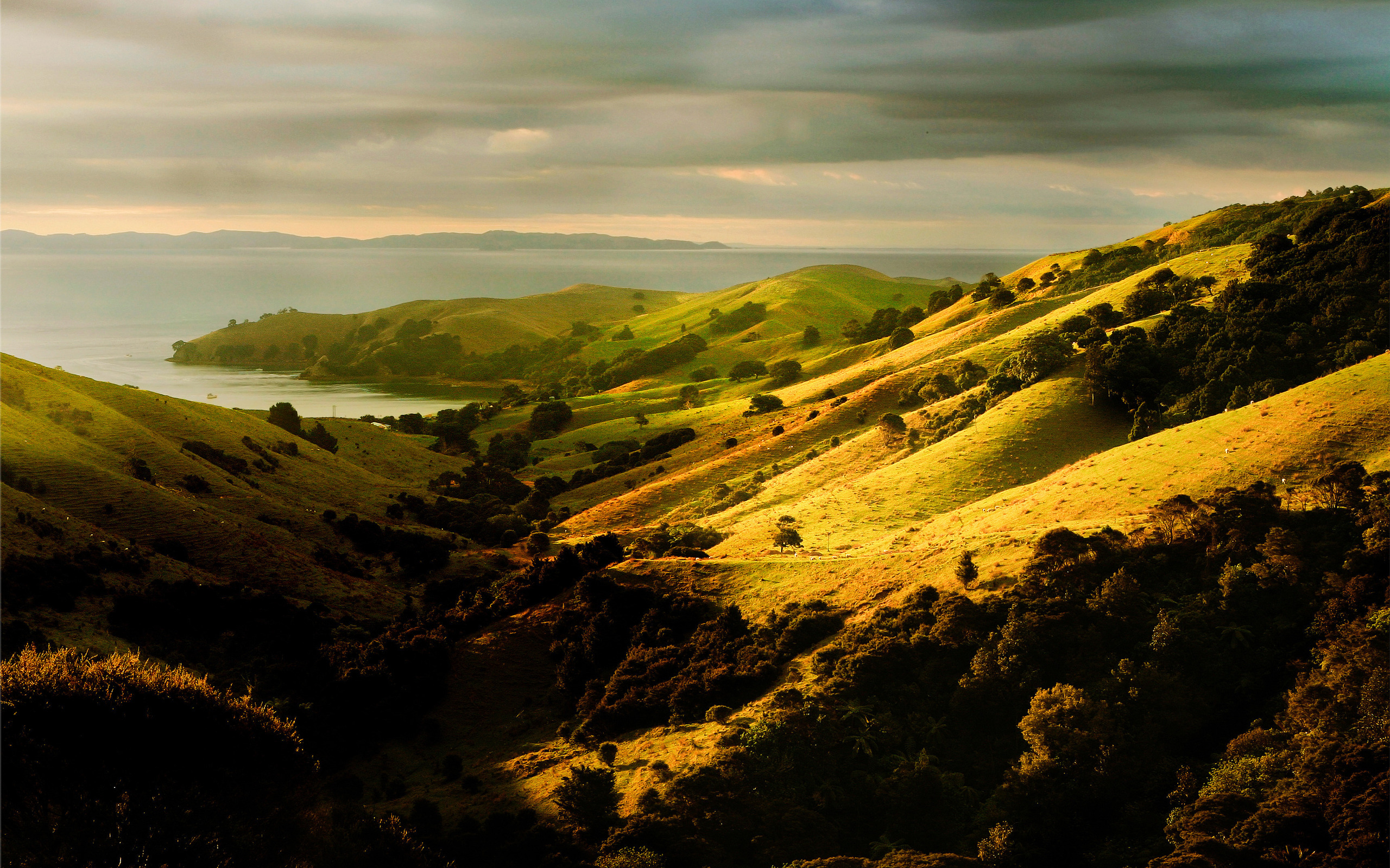 Про холма. Молдова природа холмы. Холмы Такака, новая Зеландия. Новая Зеландия зеленые холмы. Холмистые равнины Великобритании.