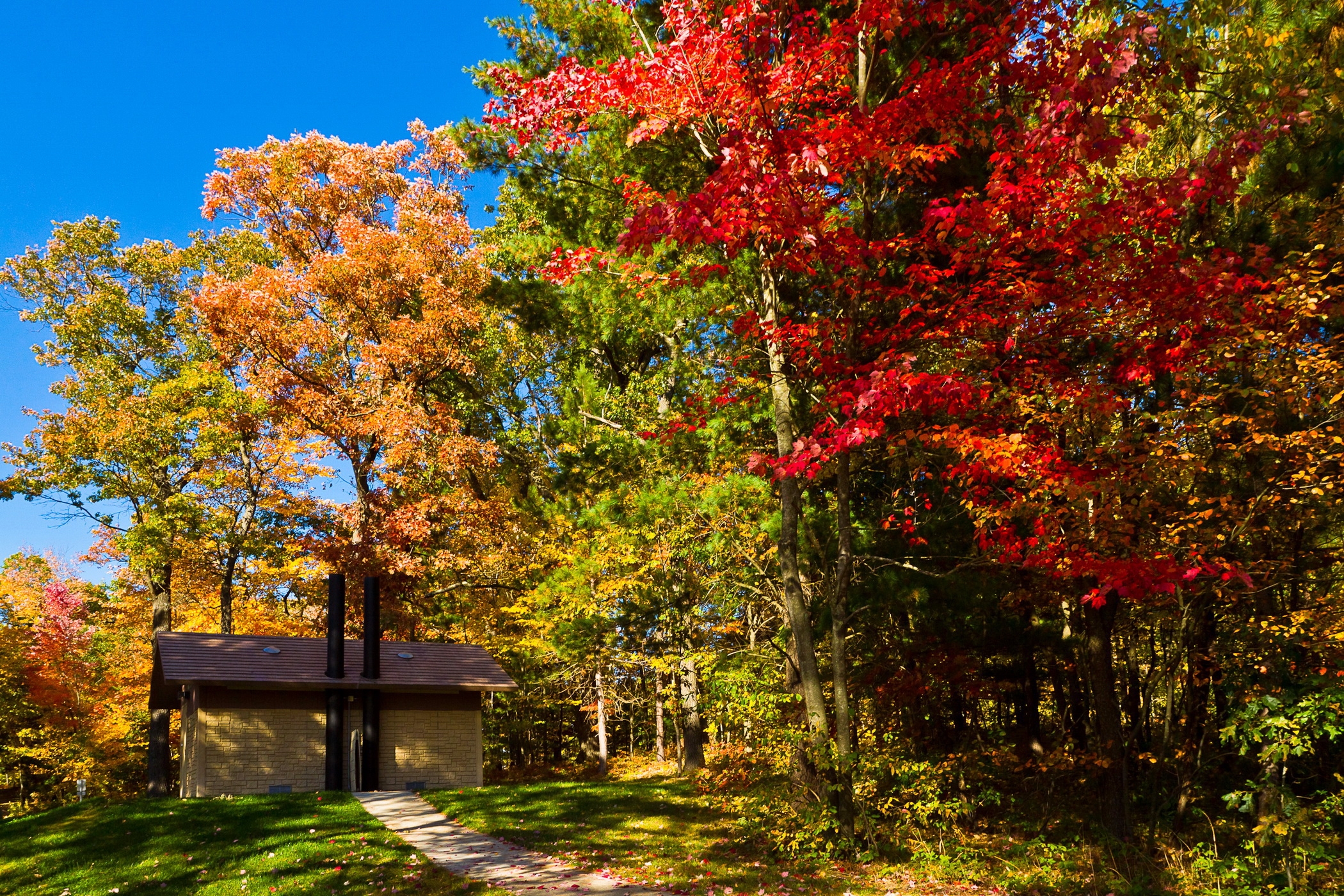 nature, trees, autumn, usa, forest, small house, lodge, united states, track, clear, i see, wisconsin, lake mills