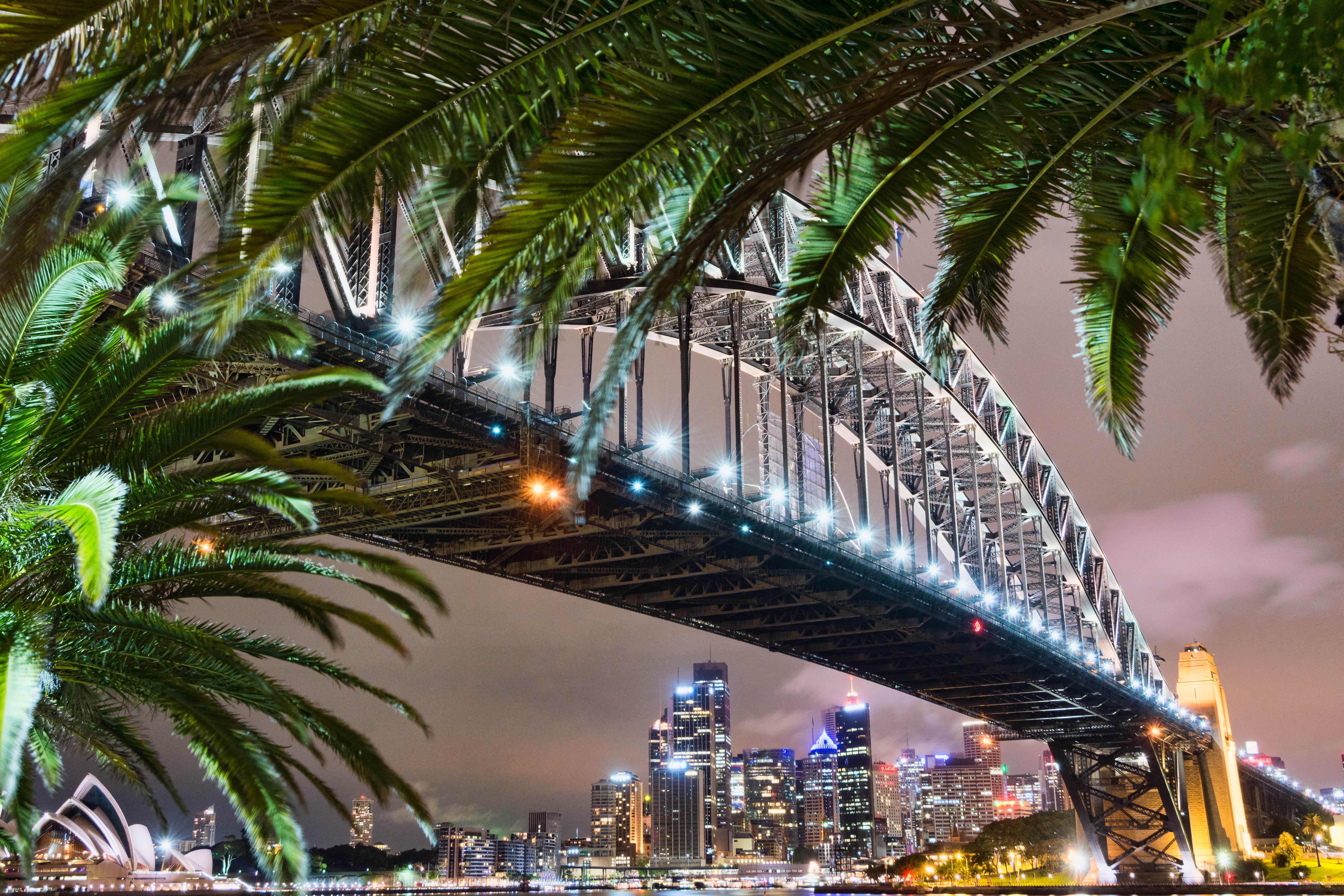 australia, man made, sydney harbour bridge, city, palm tree, sydney opera house, sydney, bridges