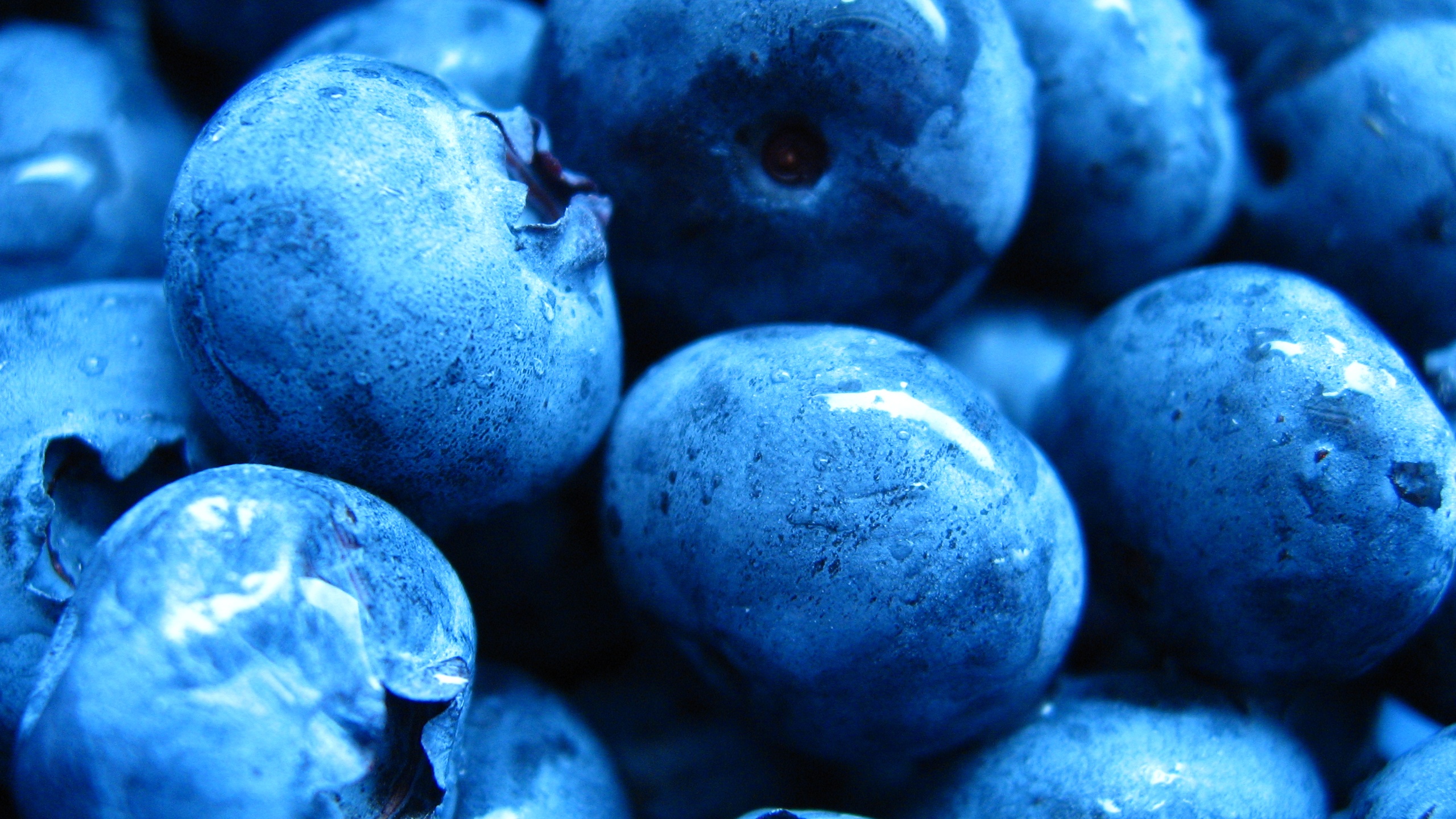 blueberry, food for android