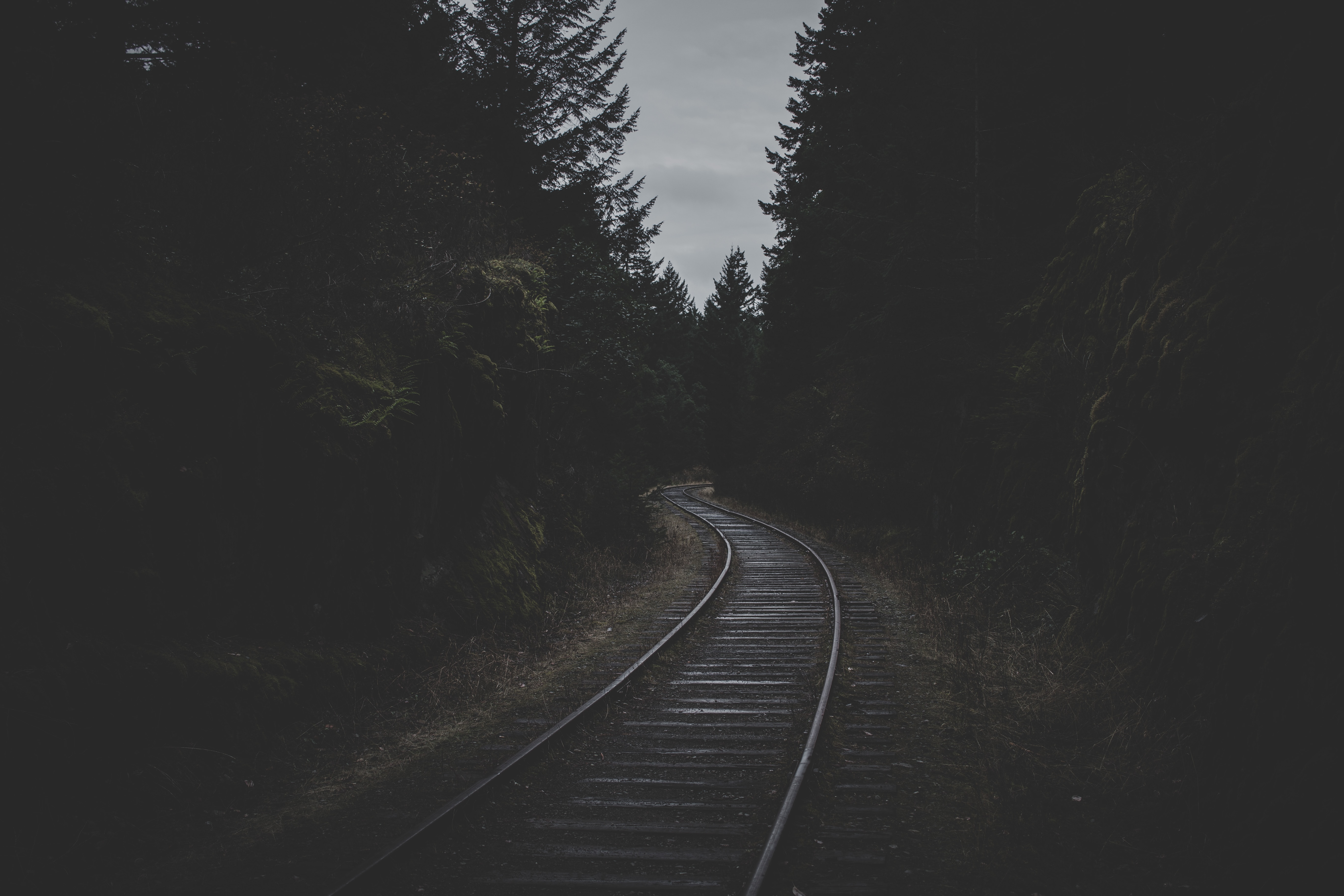 black, railway, rails, dark, trees, twilight, dusk 2160p