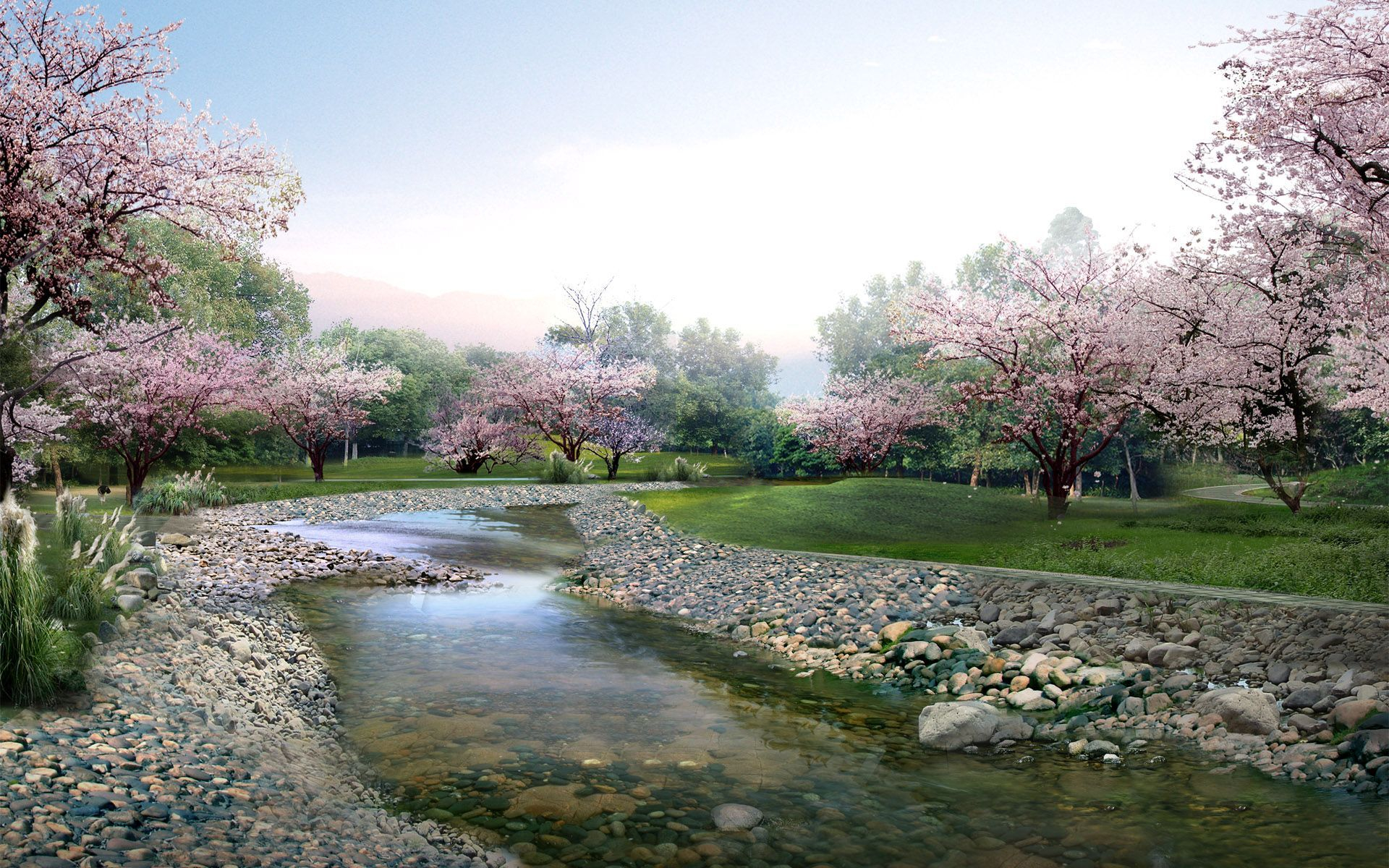 749230 скачать обои весна, сакура, цветущие, природа, парк, река, земля/природа, дерево, ручей, камень - заставки и картинки бесплатно