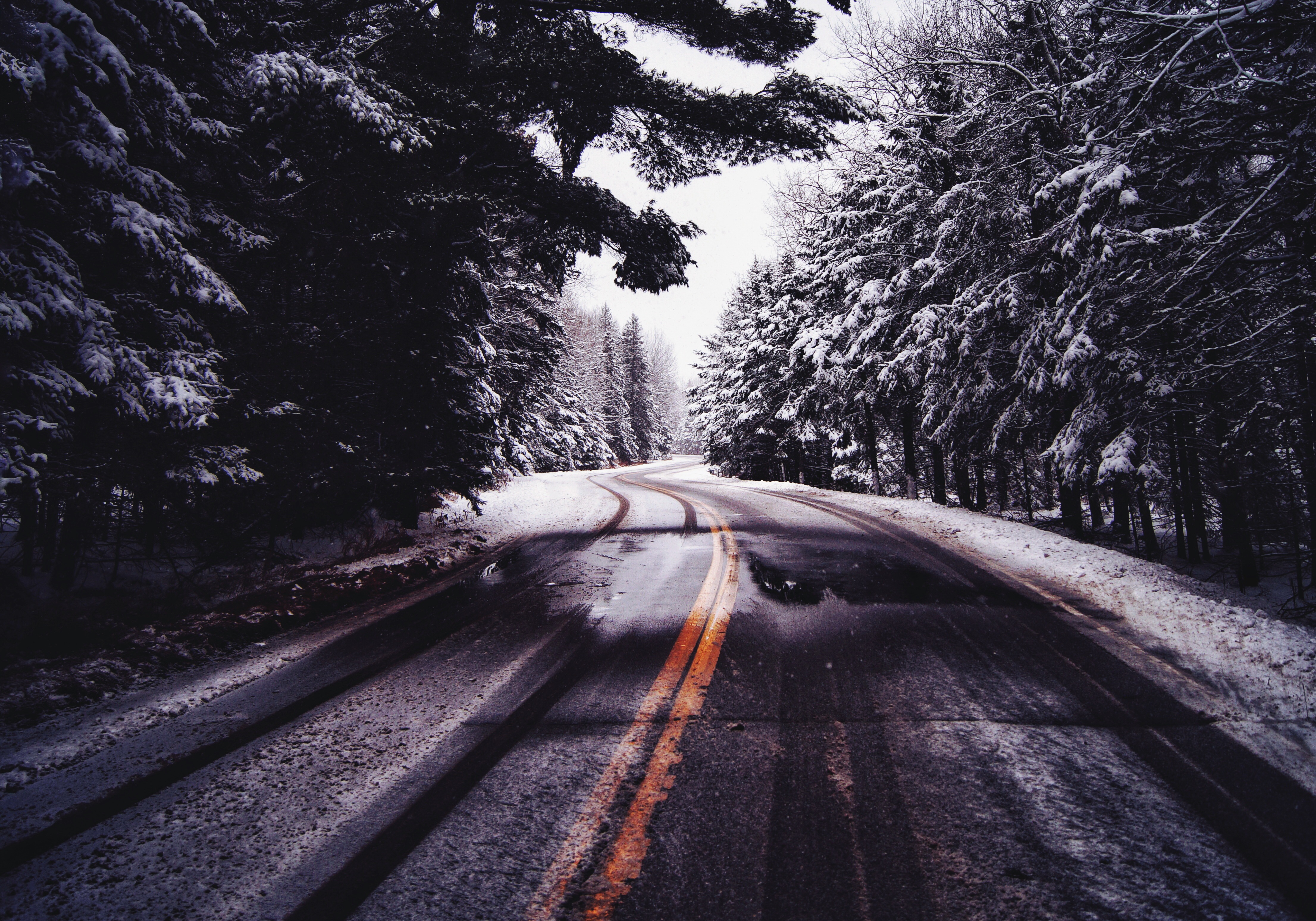 Зимняя дорога в лесу