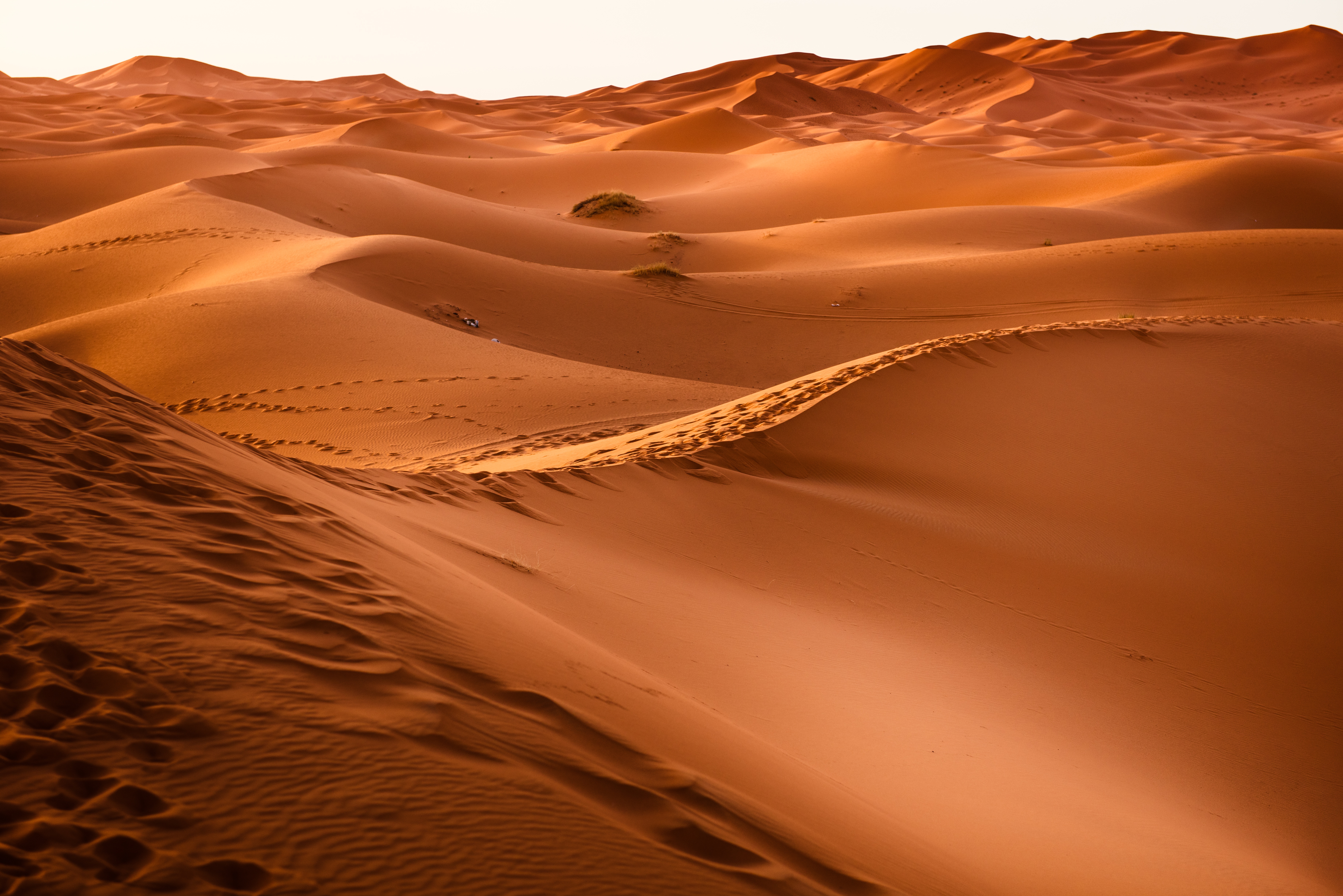 155509 télécharger le fond d'écran sable, désert, dune, maroc, nature - économiseurs d'écran et images gratuitement