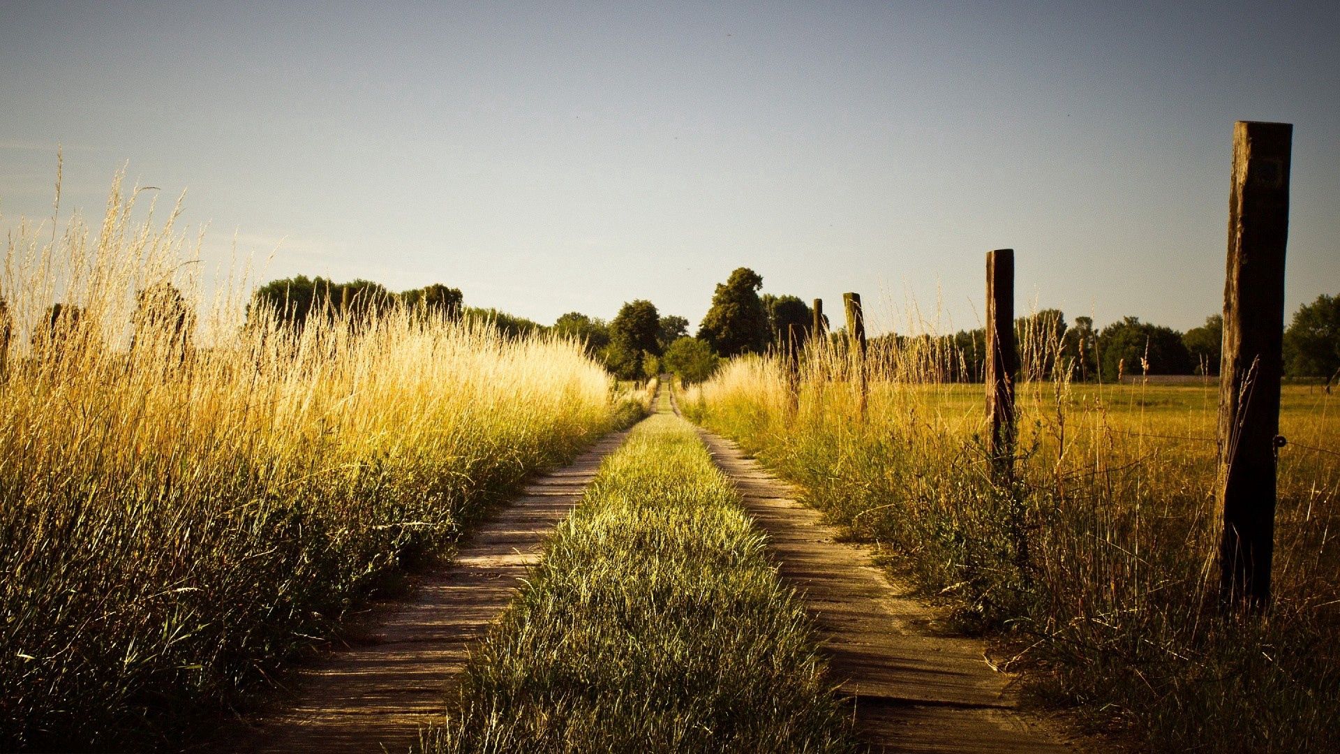 nature, grass, sky, path, trail iphone wallpaper