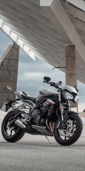 Triumph Speed Triple Bulldog