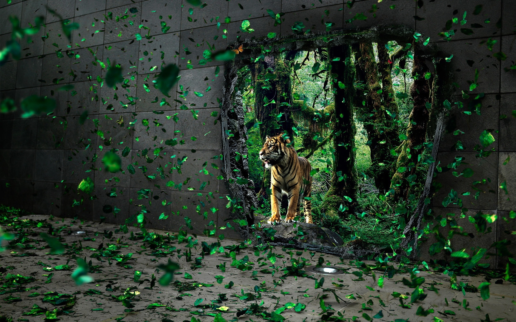 33456 скачать обои тигры, животные - заставки и картинки бесплатно