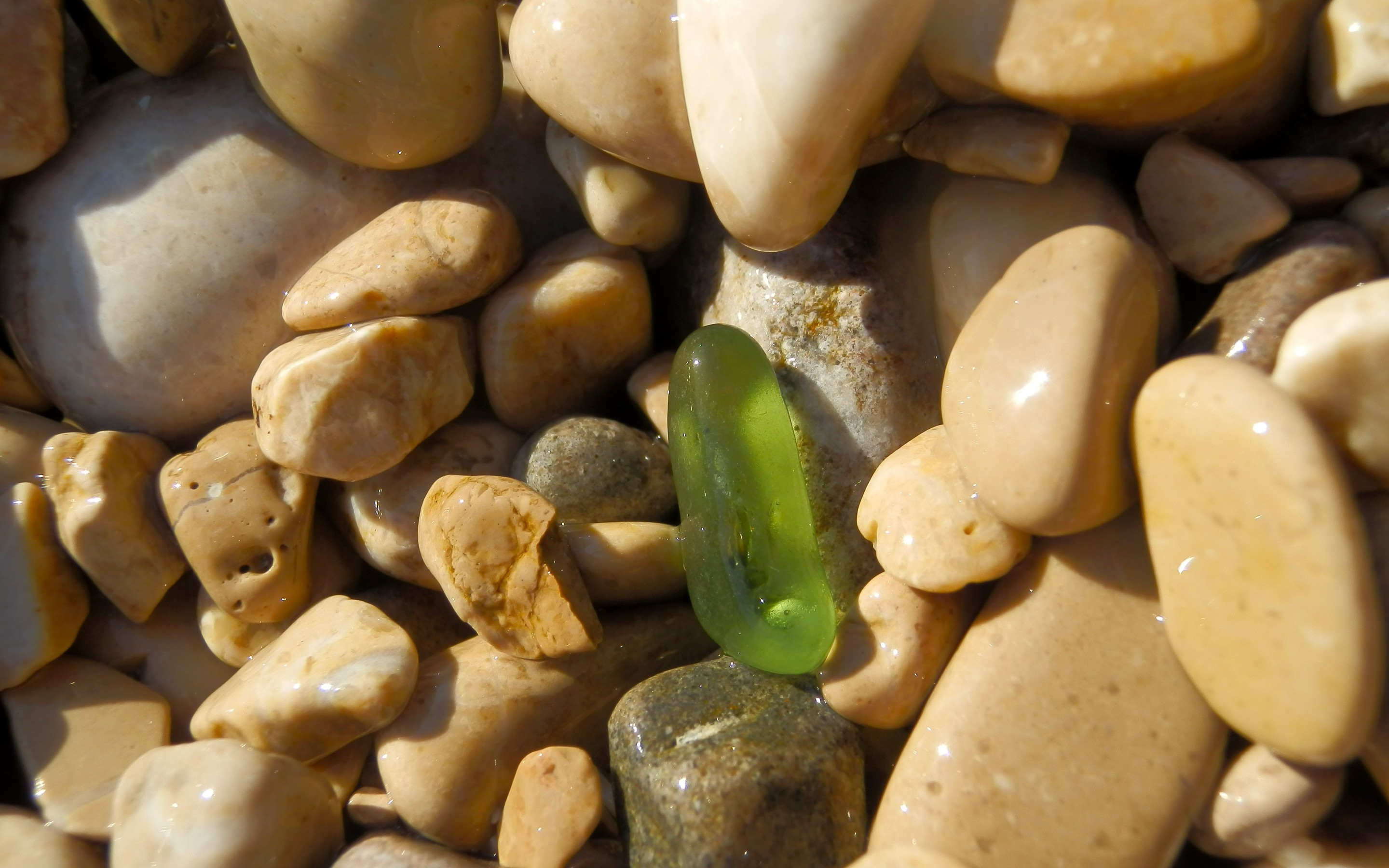 Зеленый морской камень