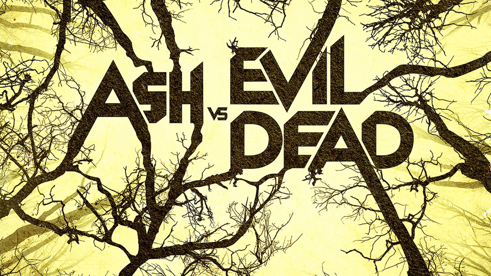 tv show, ash vs evil dead