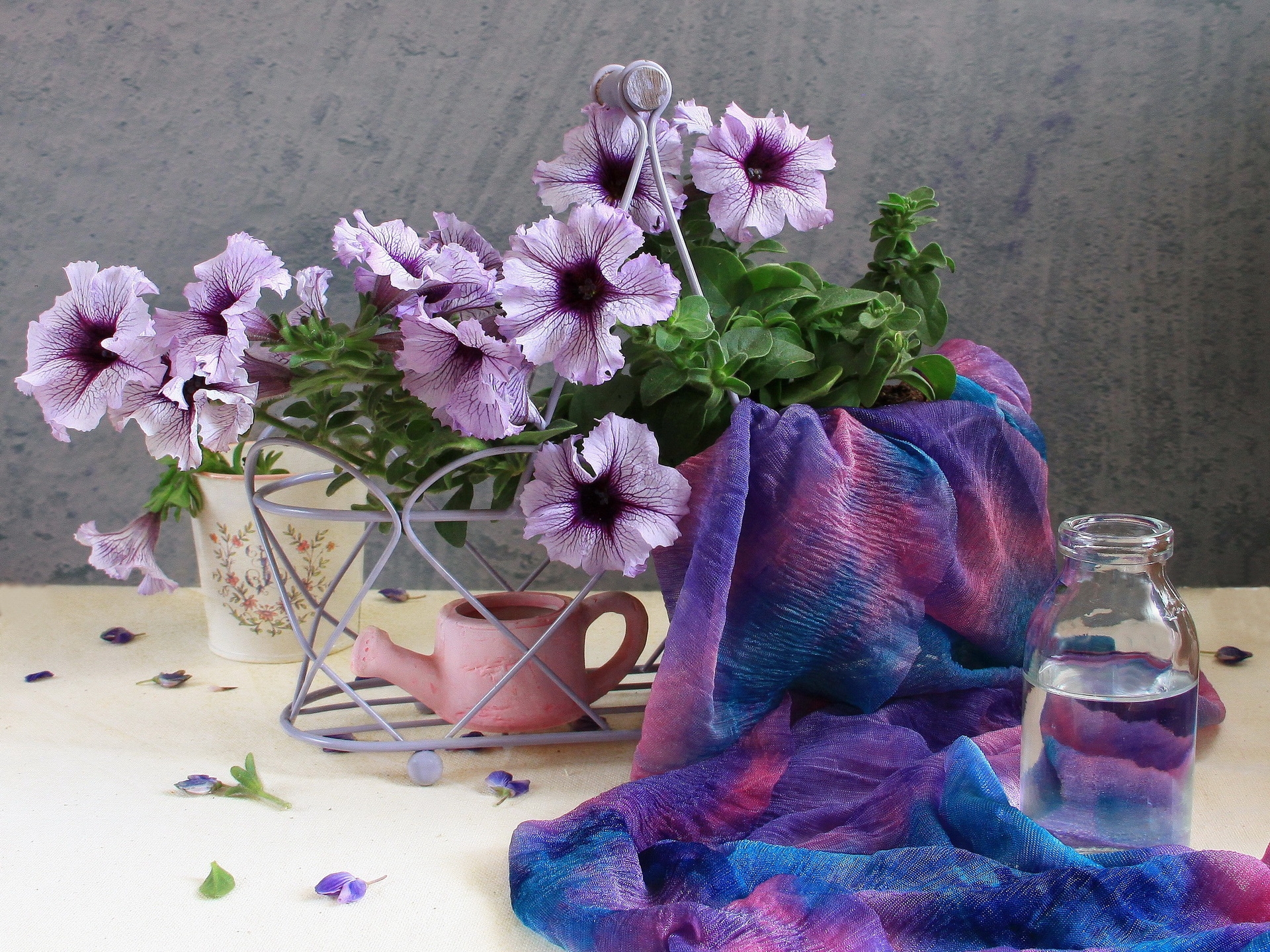 scarf, flowers, water, petals, bottle, watering can, calibrachoa, calirohoa