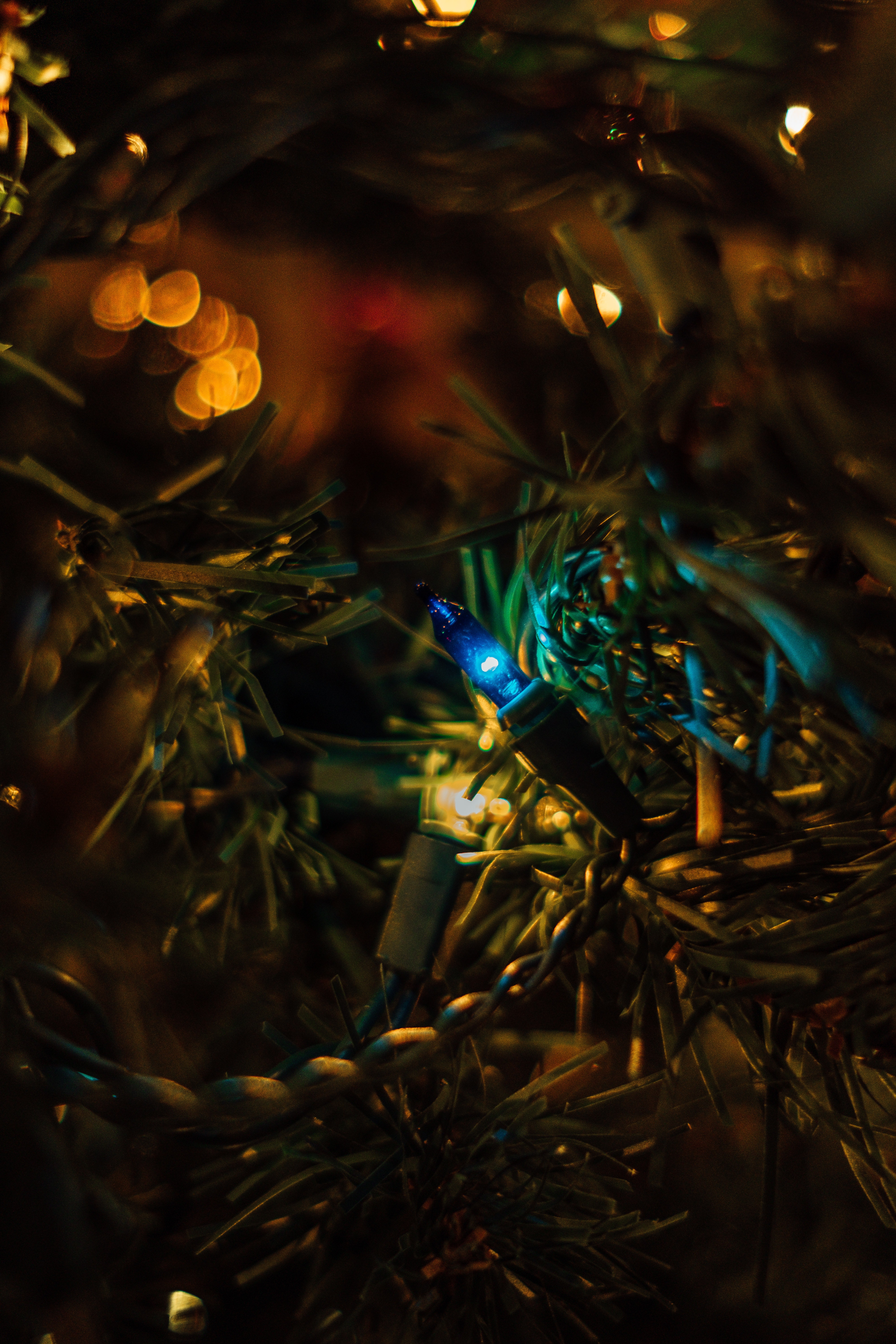 holidays, new year, glare, christmas, christmas tree, garland, bokeh, boquet HD wallpaper