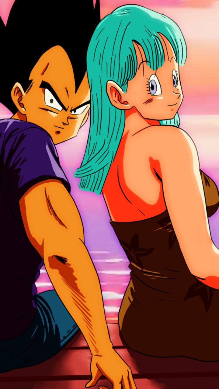 Vegeta And Bulma Wallpapers  Wallpaper Cave