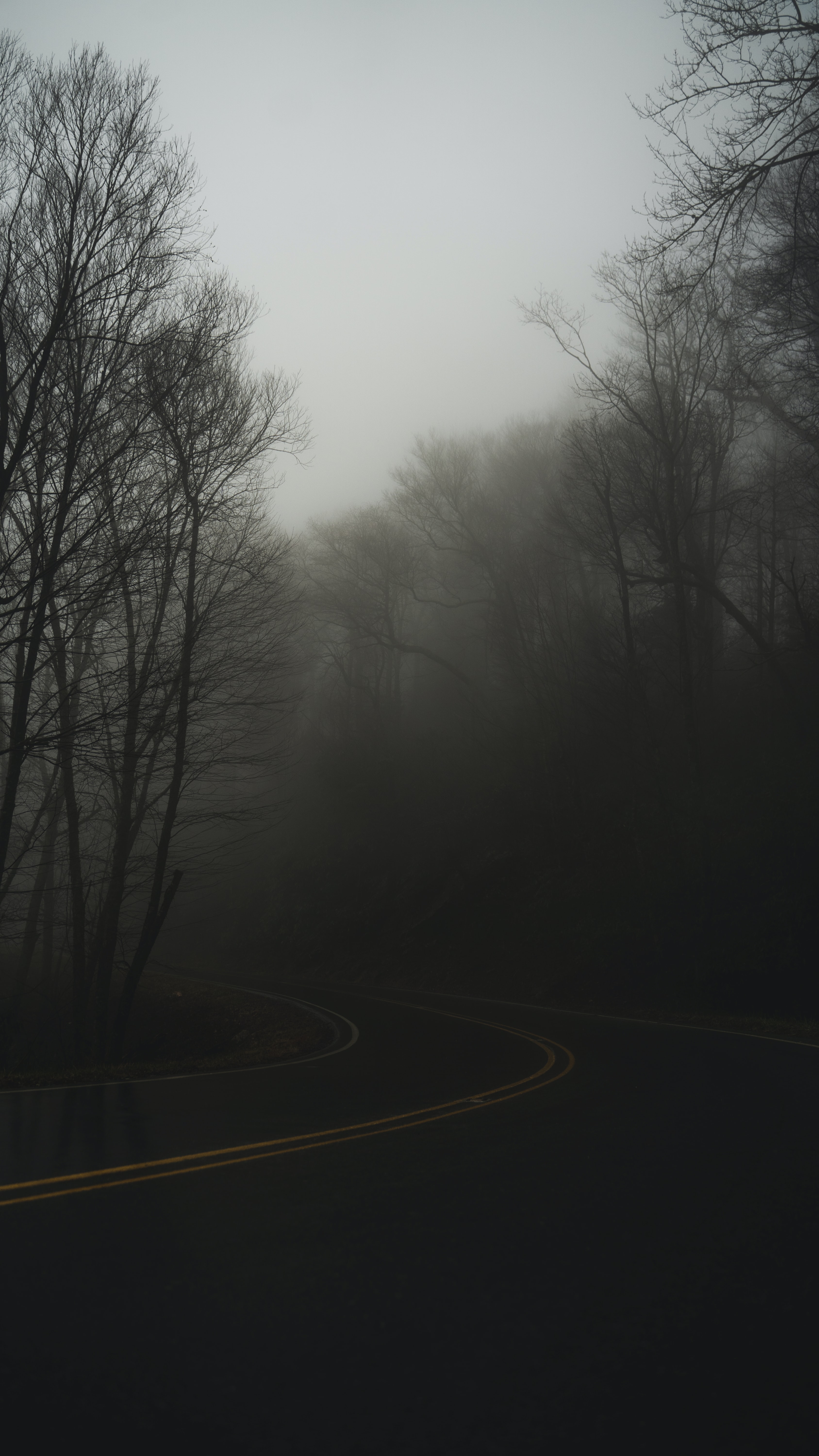 turn, nature, twilight, road, fog, dusk, haze phone background