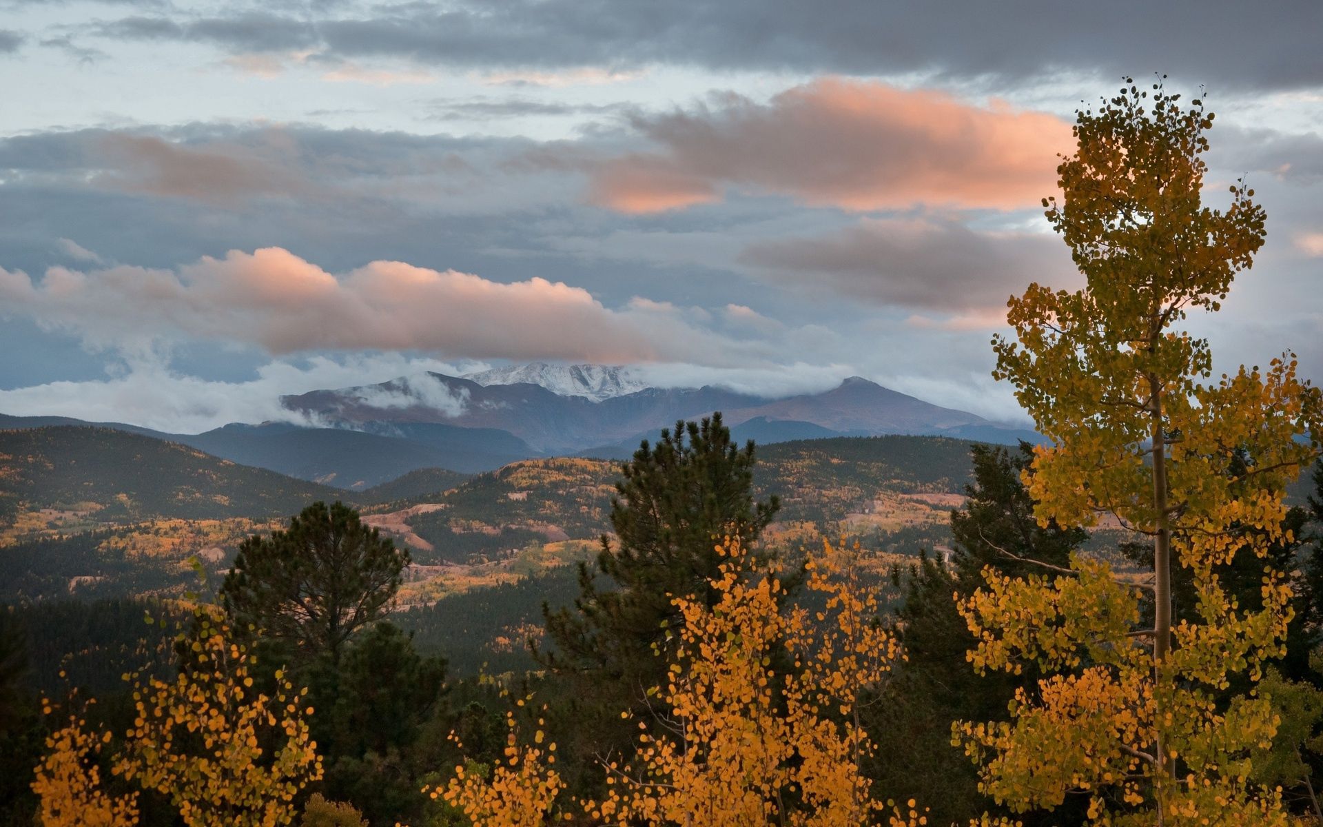 Laden Sie das Bäume, Kiefer, Espe, Aspen, Natur, Abend, Sky, Clouds, Mountains, Herbst-Bild kostenlos auf Ihren PC-Desktop herunter